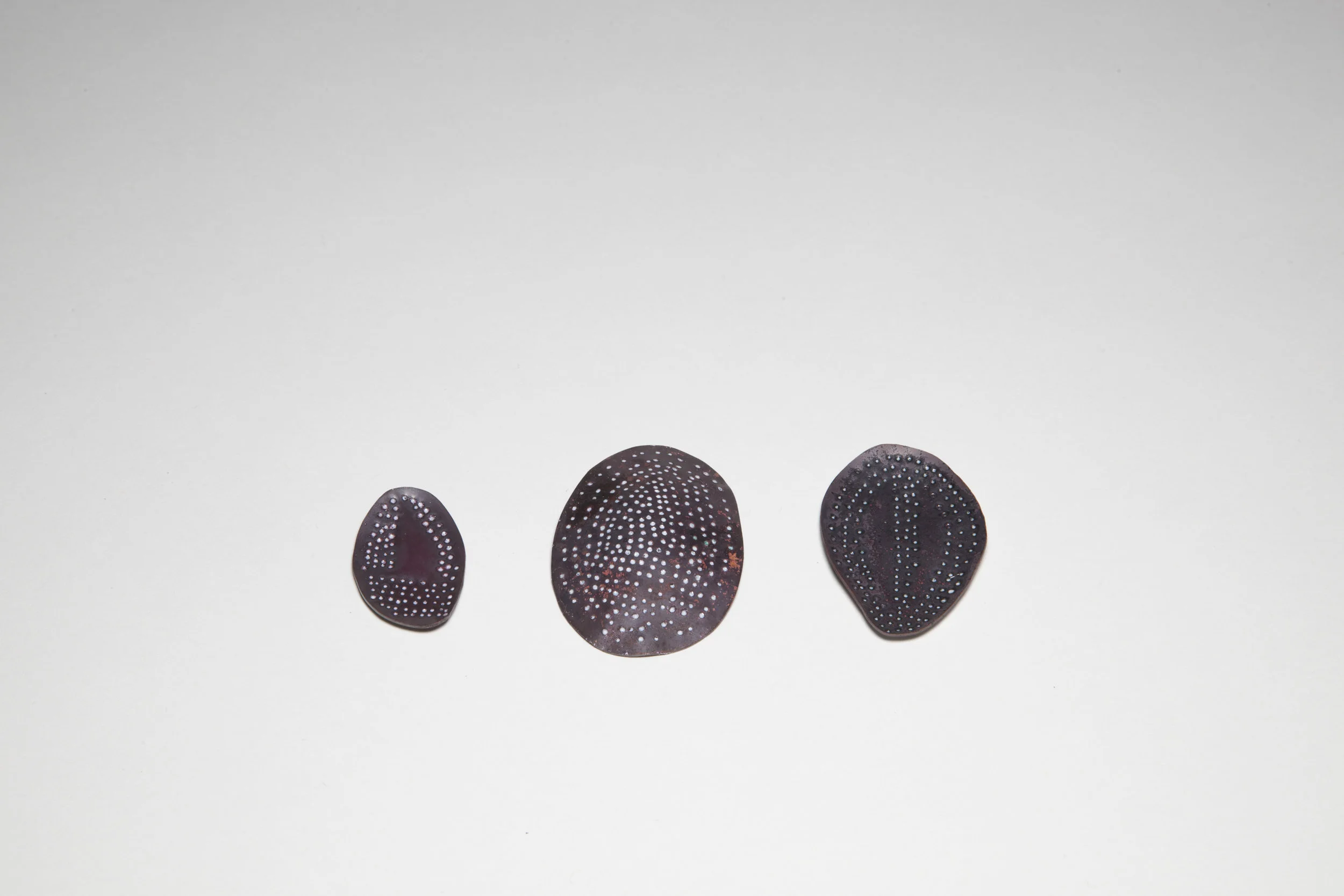 Diatoms