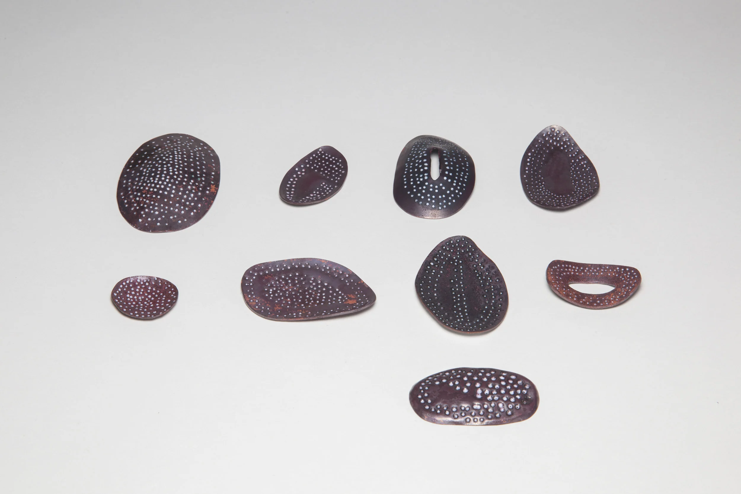 Diatoms