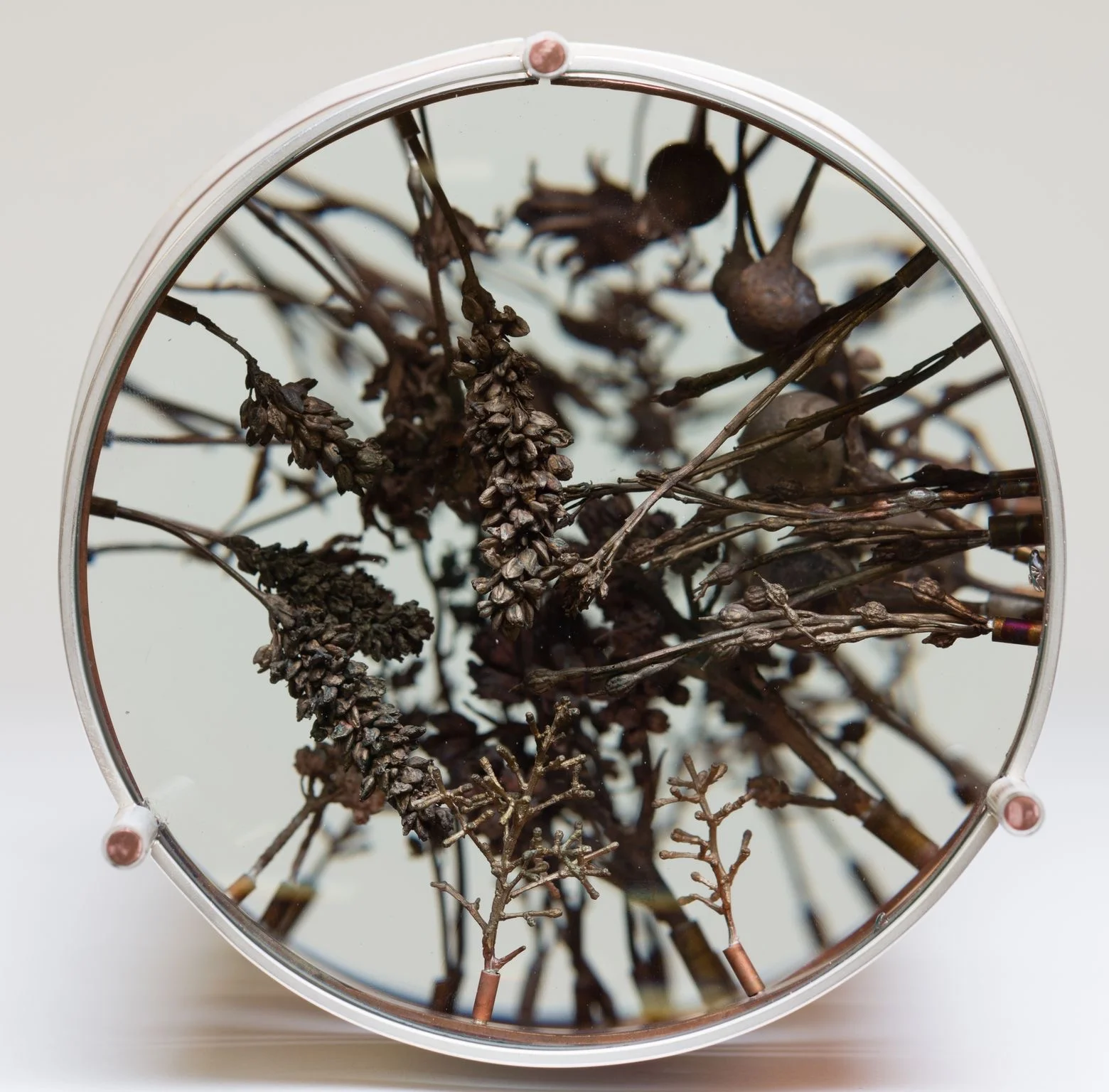  Detail view of Seed Repository of the side lenses. 