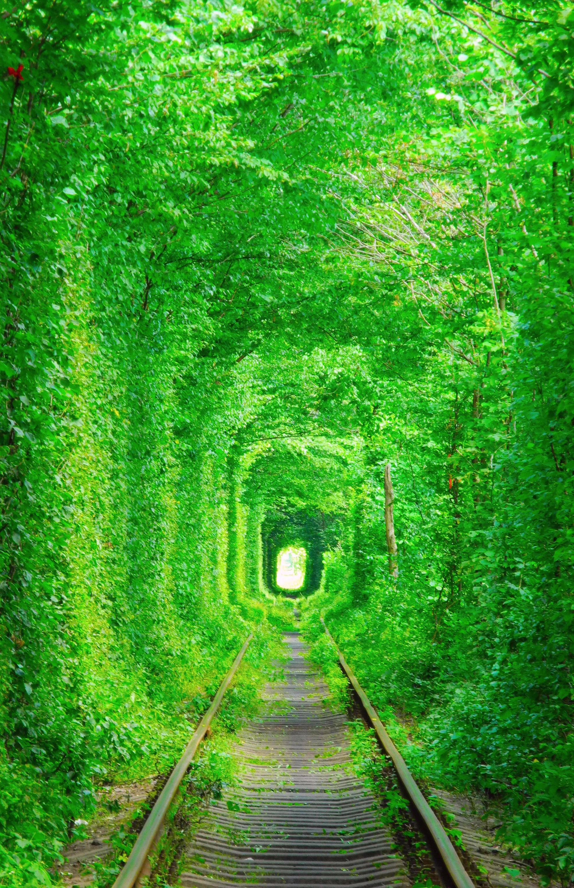 Photo by Jana_Janina/iStock / Getty Images