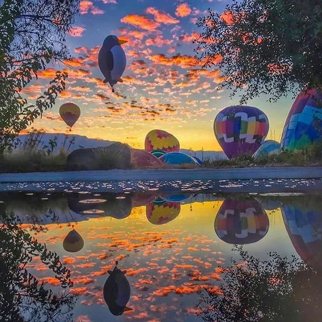 Those Fiesta mornings!  Can&rsquo;t miss them. #hotairrize #experientialmarketing #hotairballooning #marketing #hotairballoon #ballooning #branding #brand #engagementmarketing #event #eventmarketing #eventmarketingagency #marketingtips