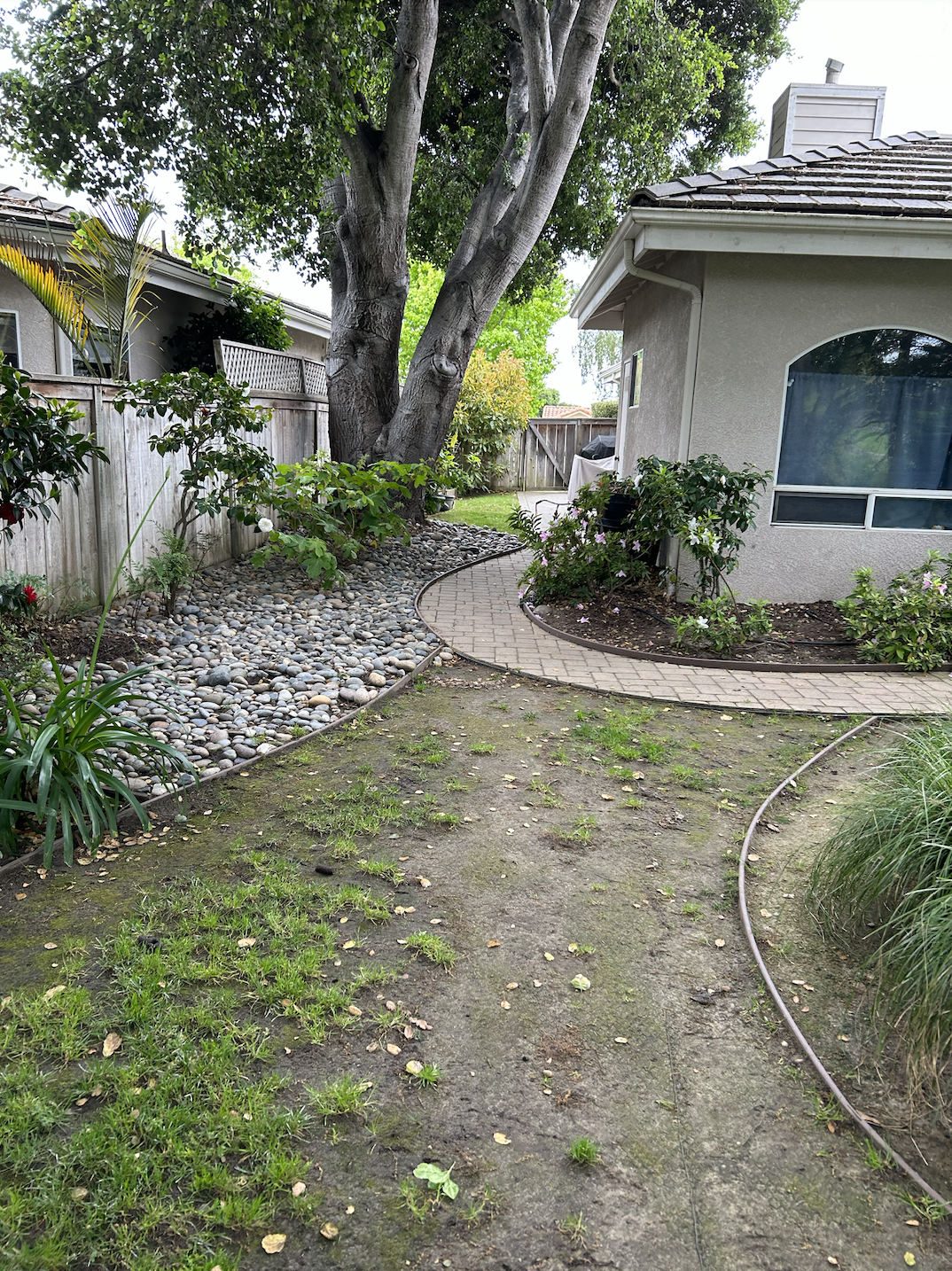 Screenshot 2026-01-28 at 8.05.23 AM.png