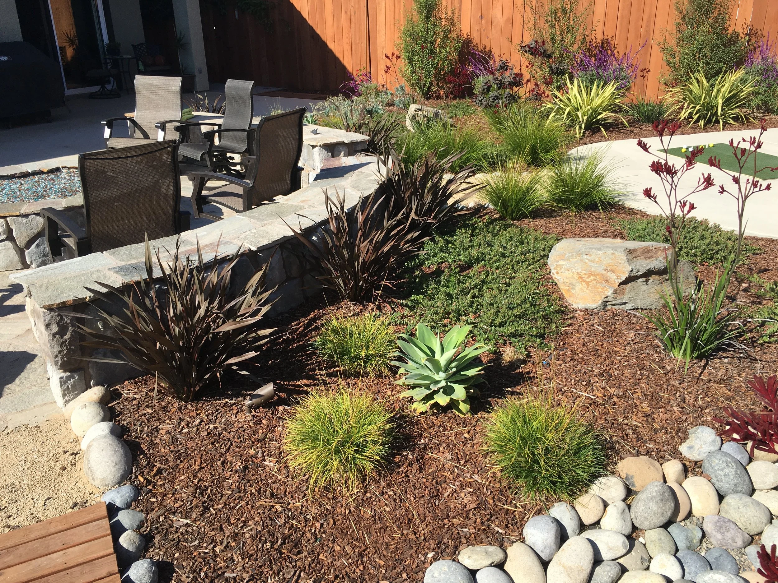 Ken's Drought Tolerant Back Yard Oasis Grover Beach