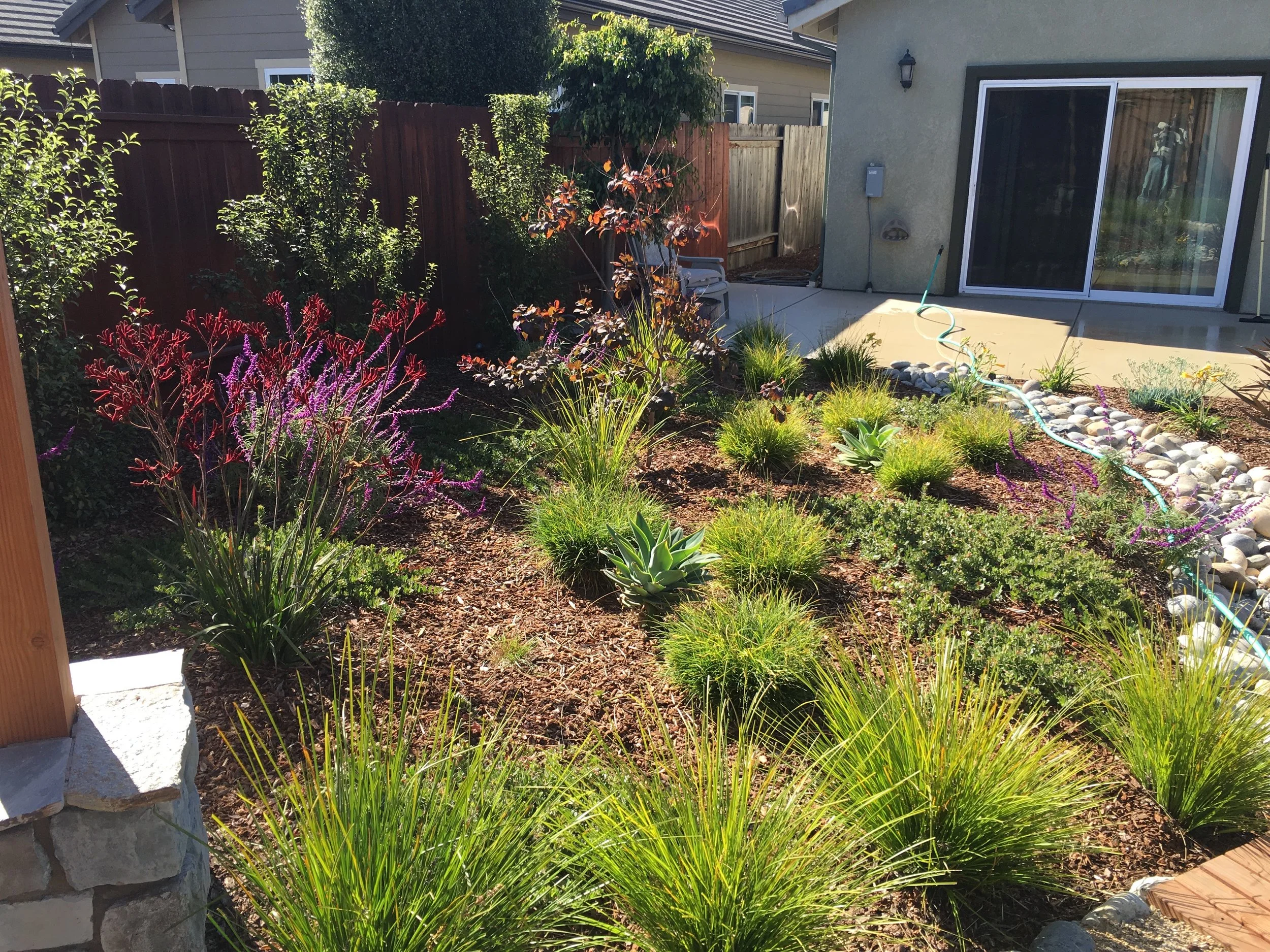 Ken's Grover Beach Drought Tolerant Landscape Grover Beach