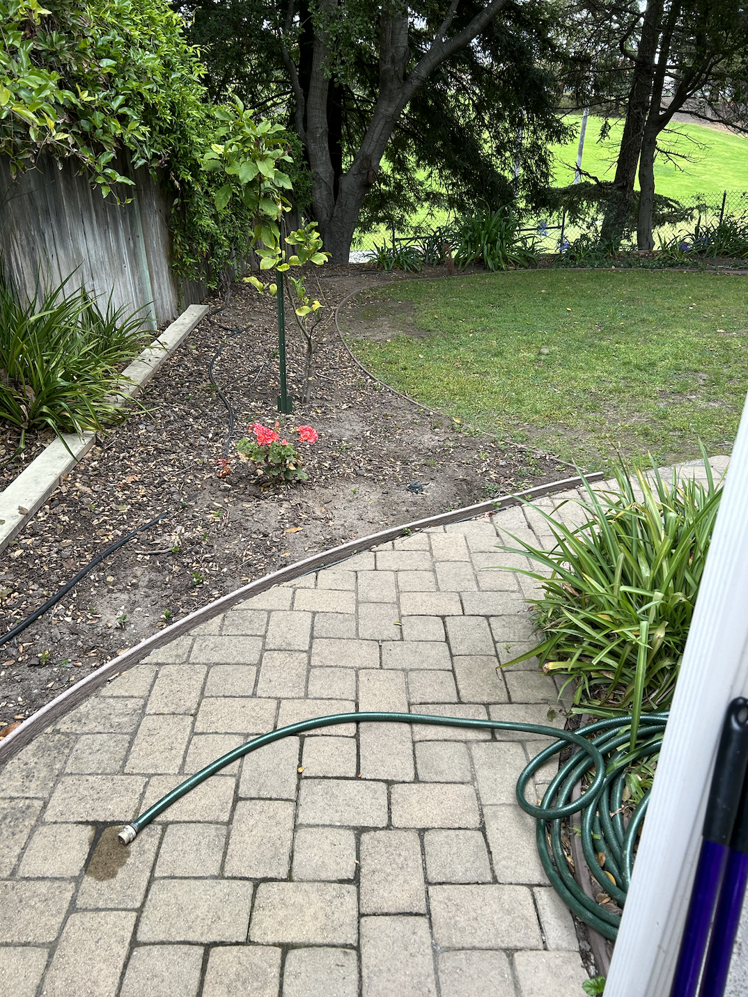 Screenshot 2026-01-28 at 8.06.44 AM.png