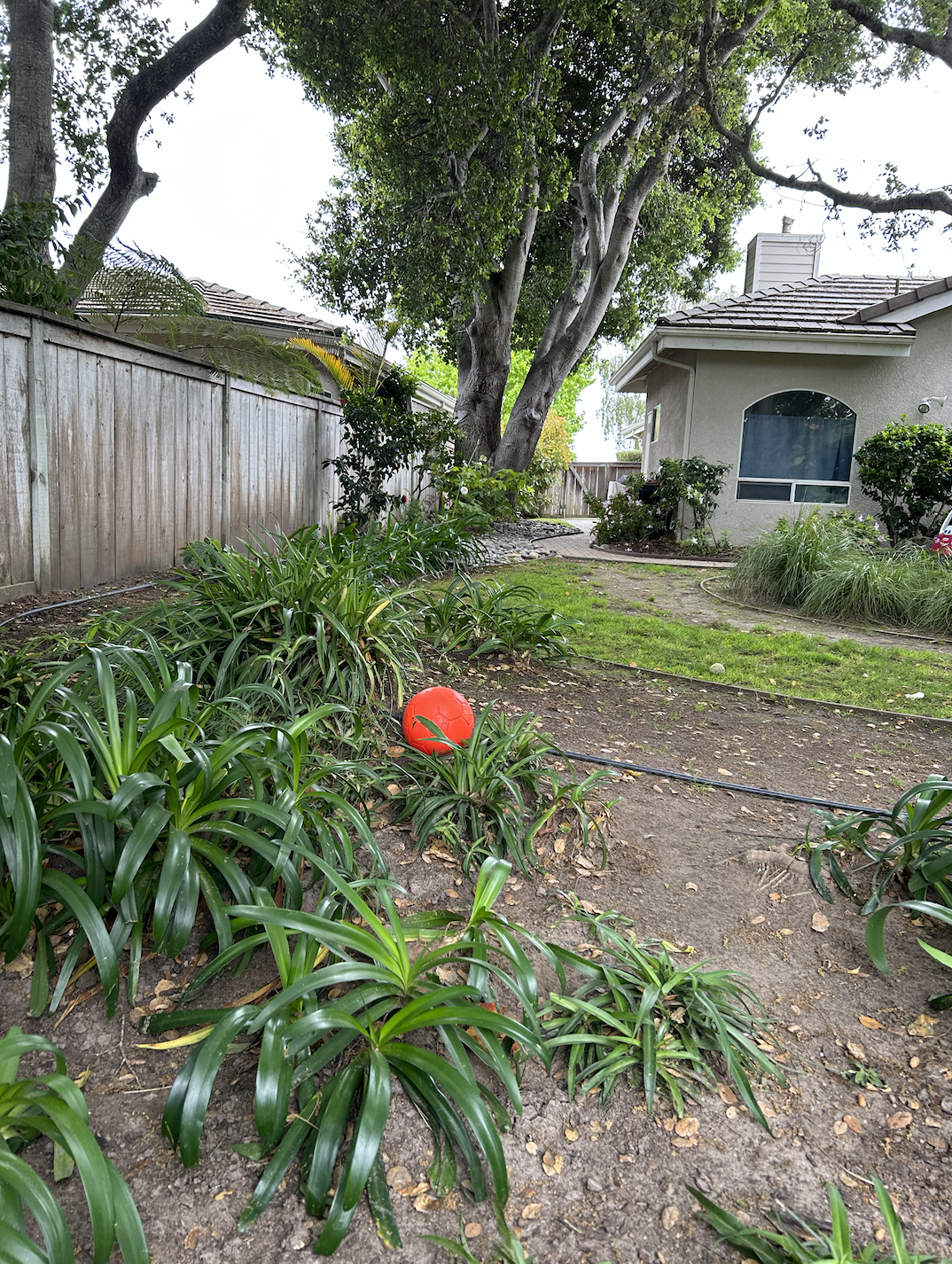 Screenshot 2026-01-28 at 8.06.26 AM.png