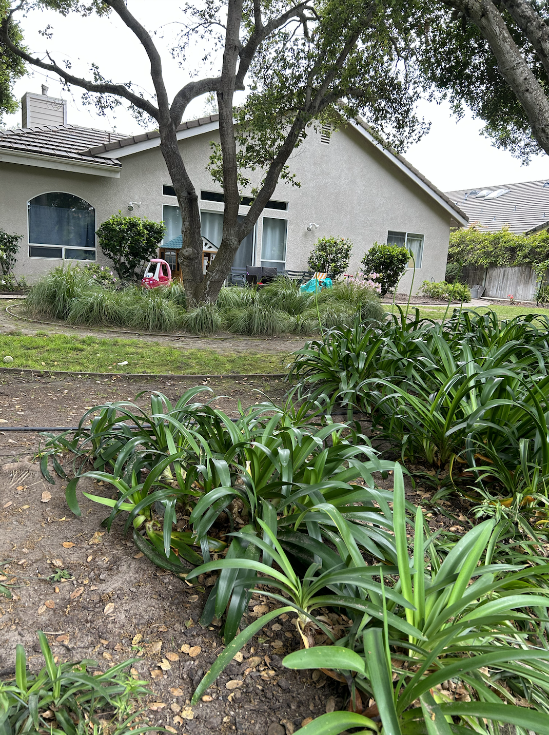 Screenshot 2026-01-28 at 8.06.03 AM.png