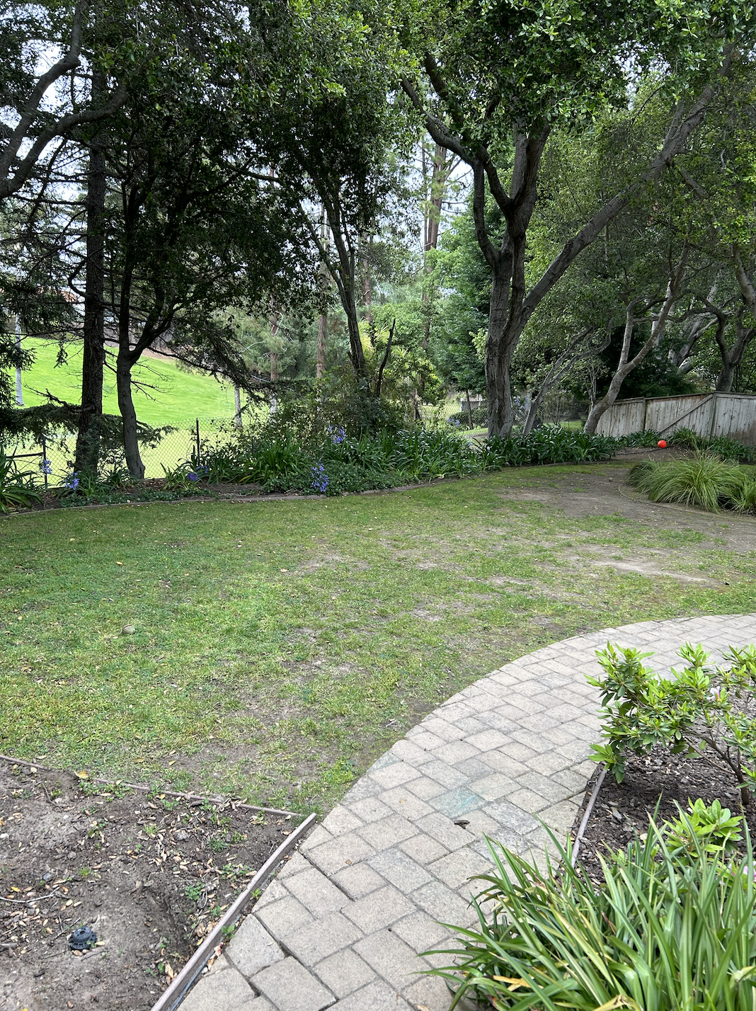 Screenshot 2026-01-28 at 8.07.05 AM.png