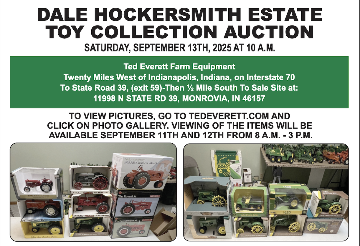 Collector Toy Auction