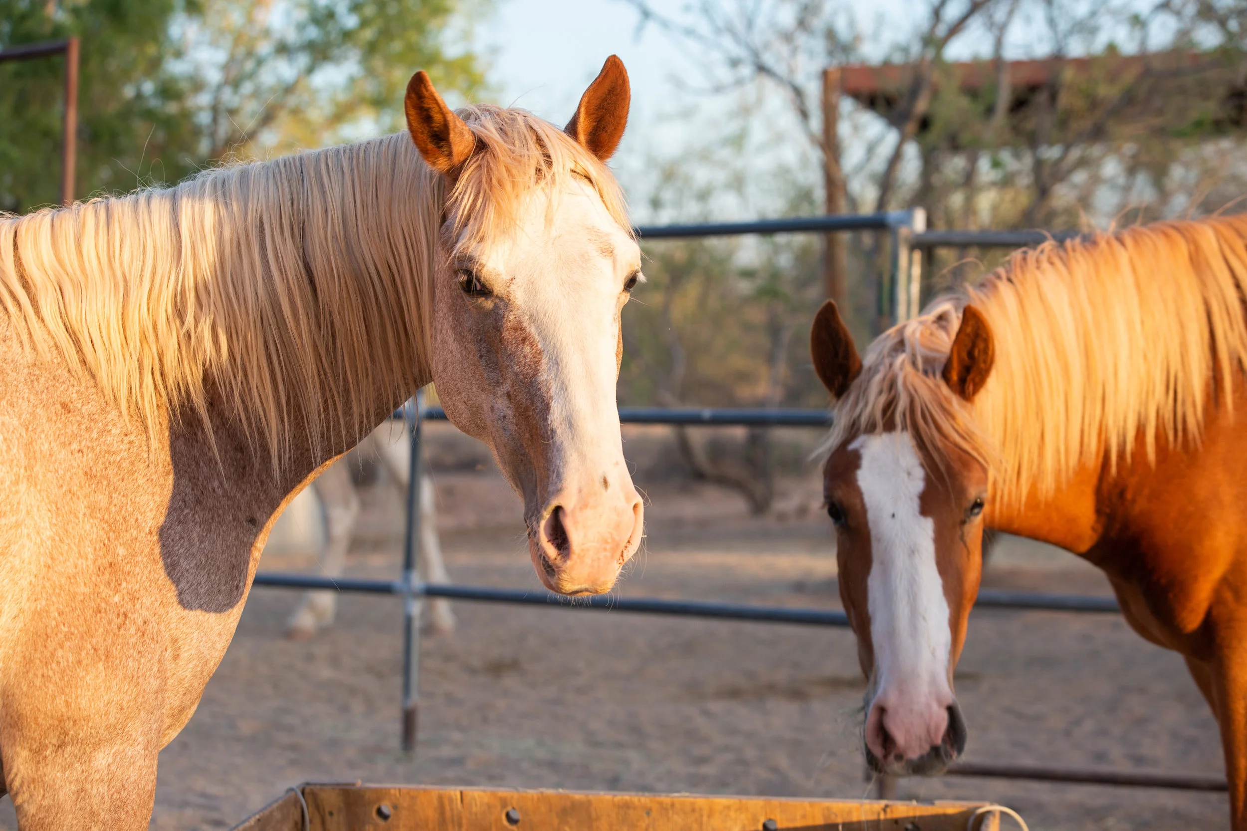 Floyd and Sawyer
