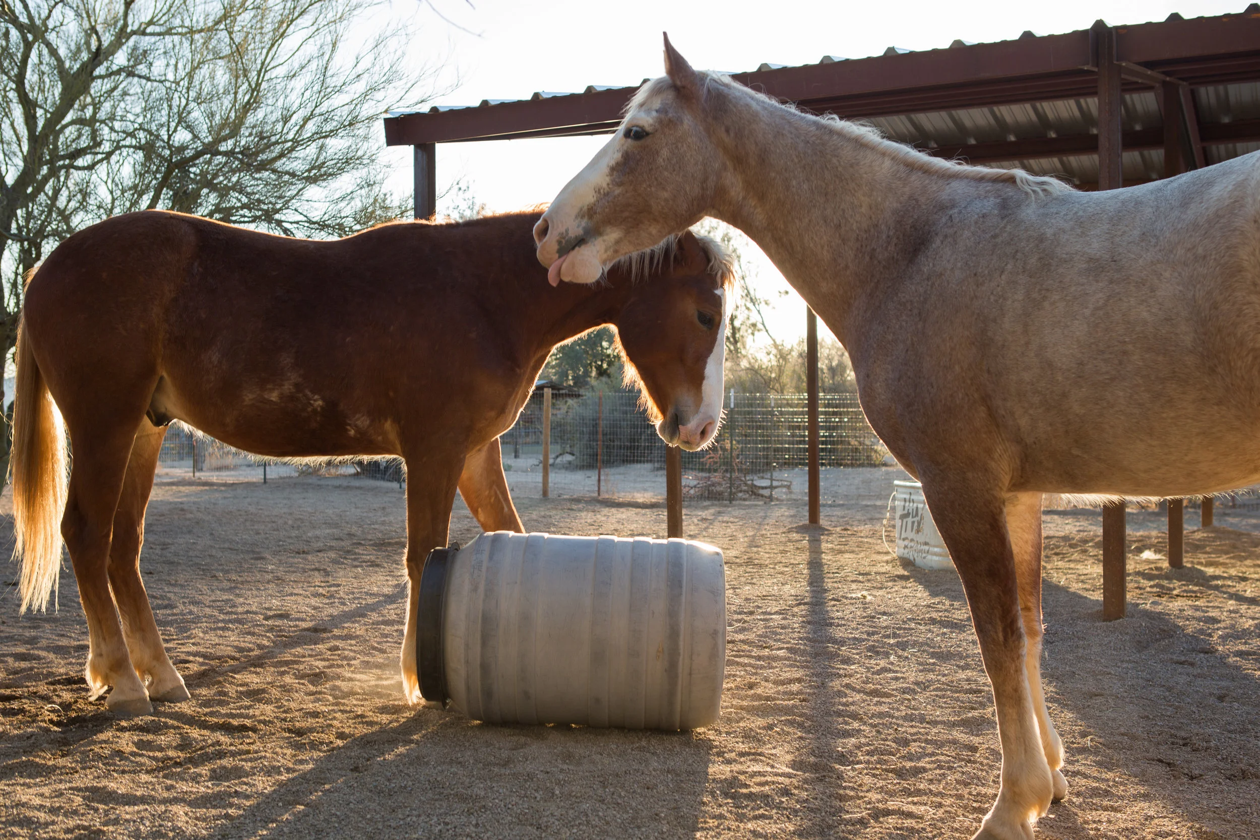 Sawyer and Floyd