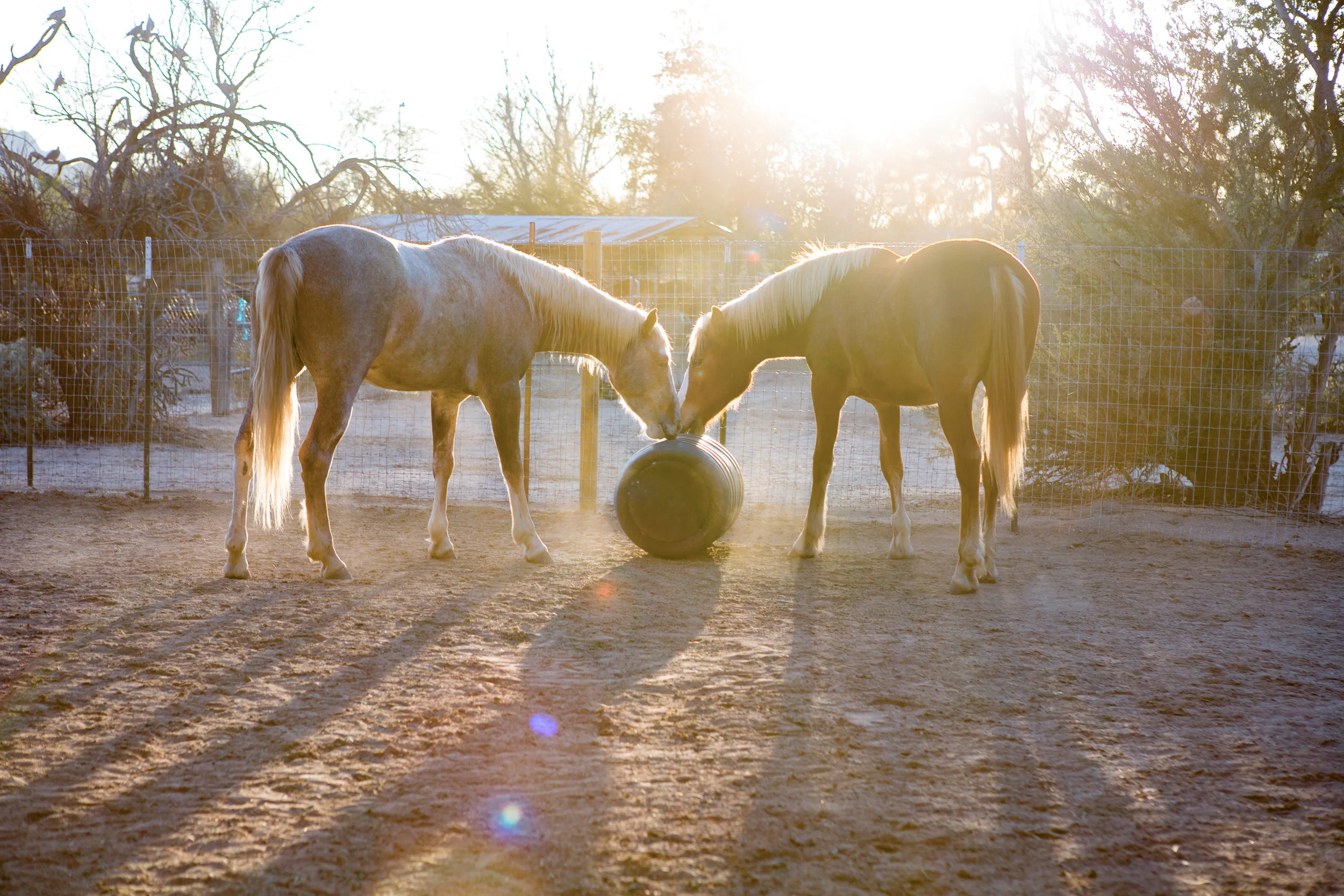 Floyd and Sawyer