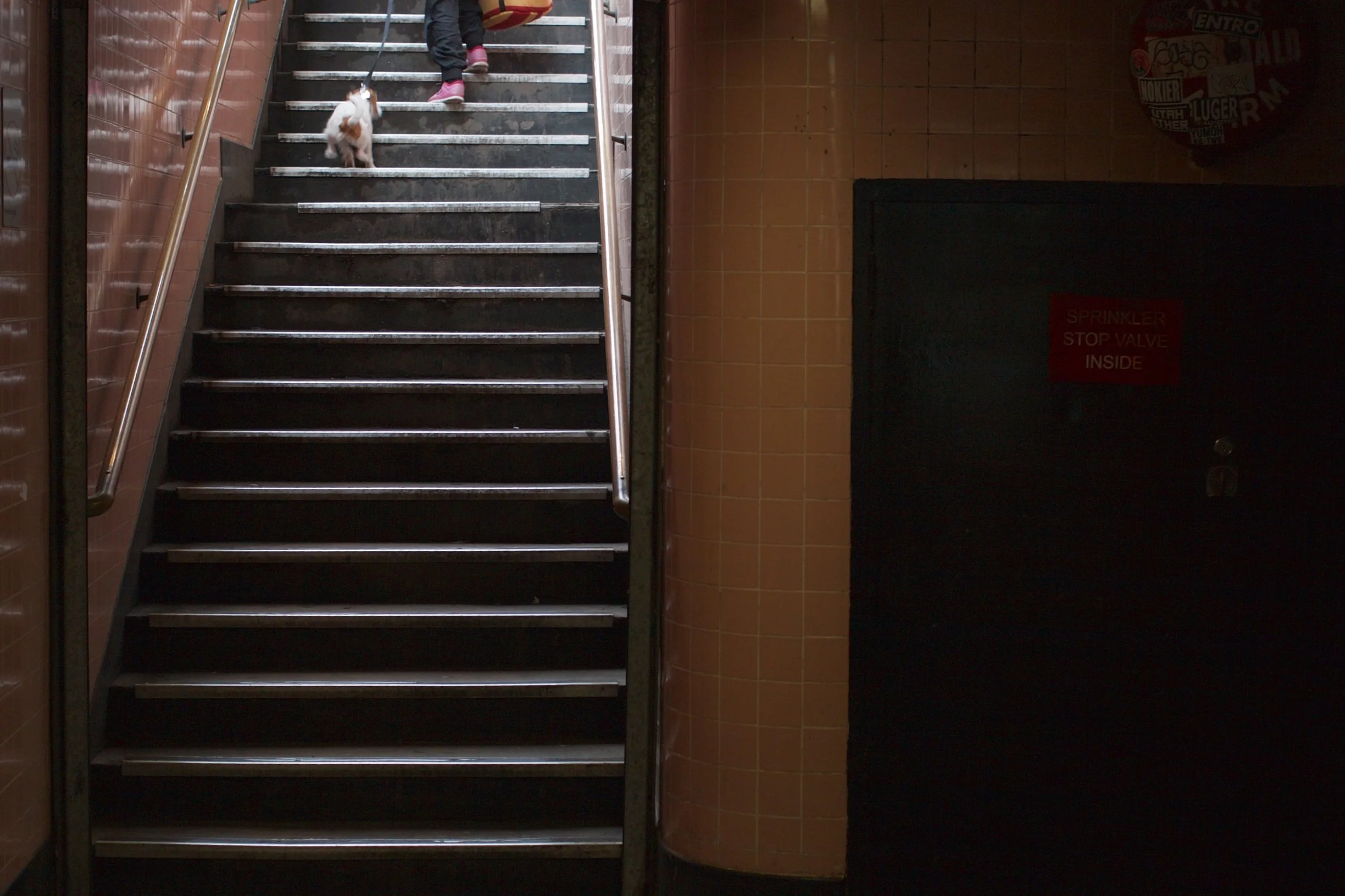 stairs