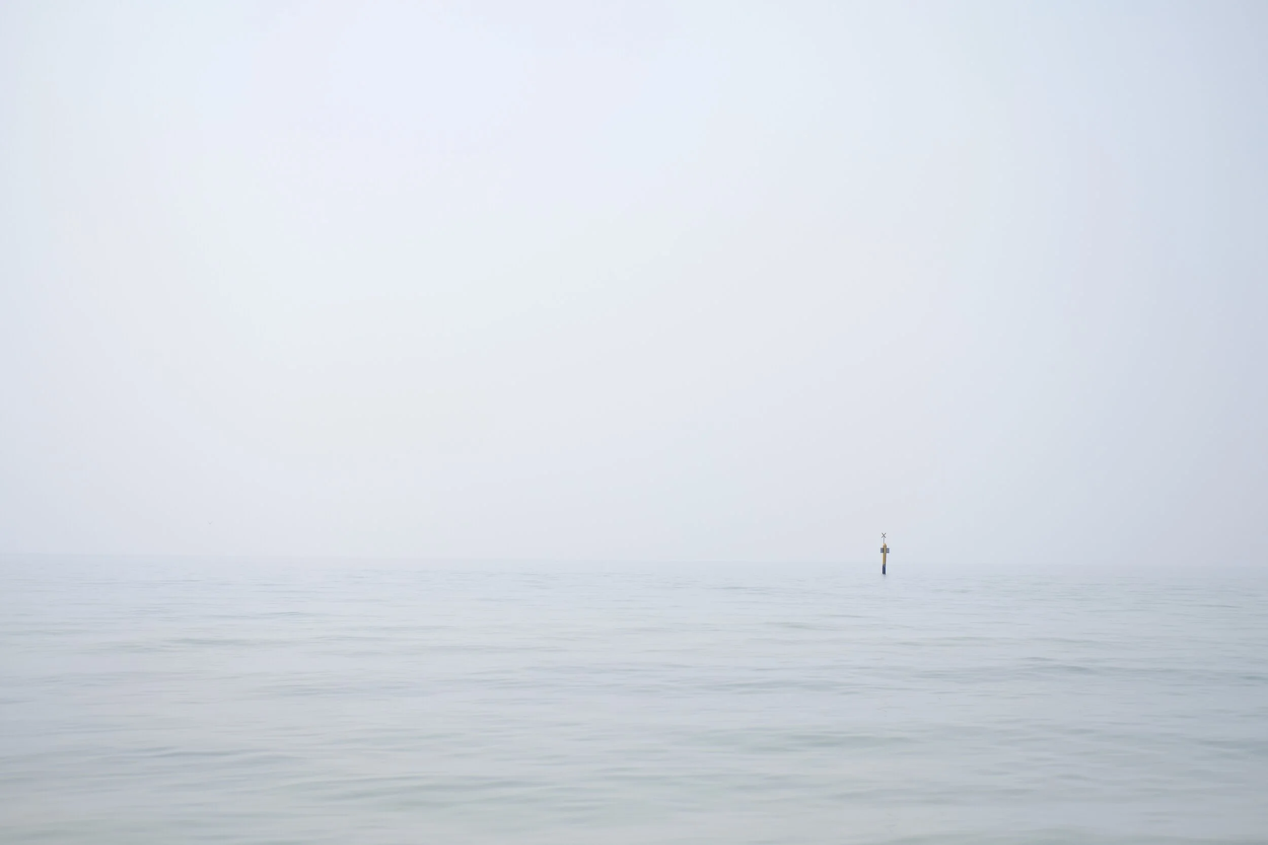 Smoky, Frankston Beach