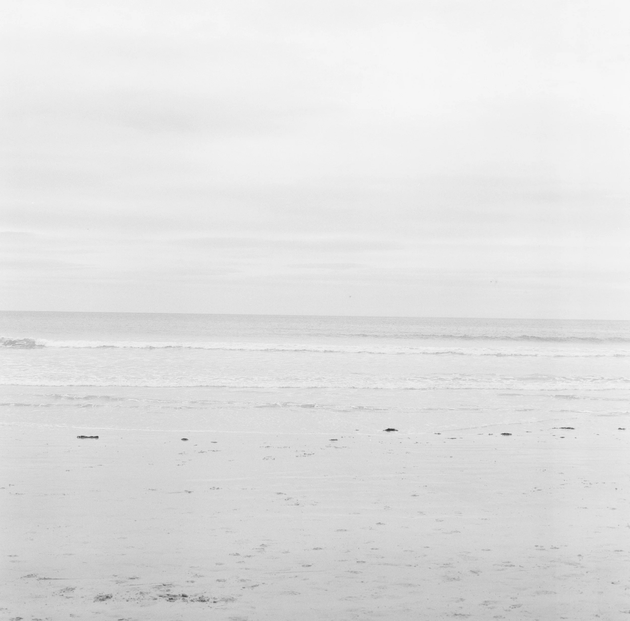 820195910012.jpg