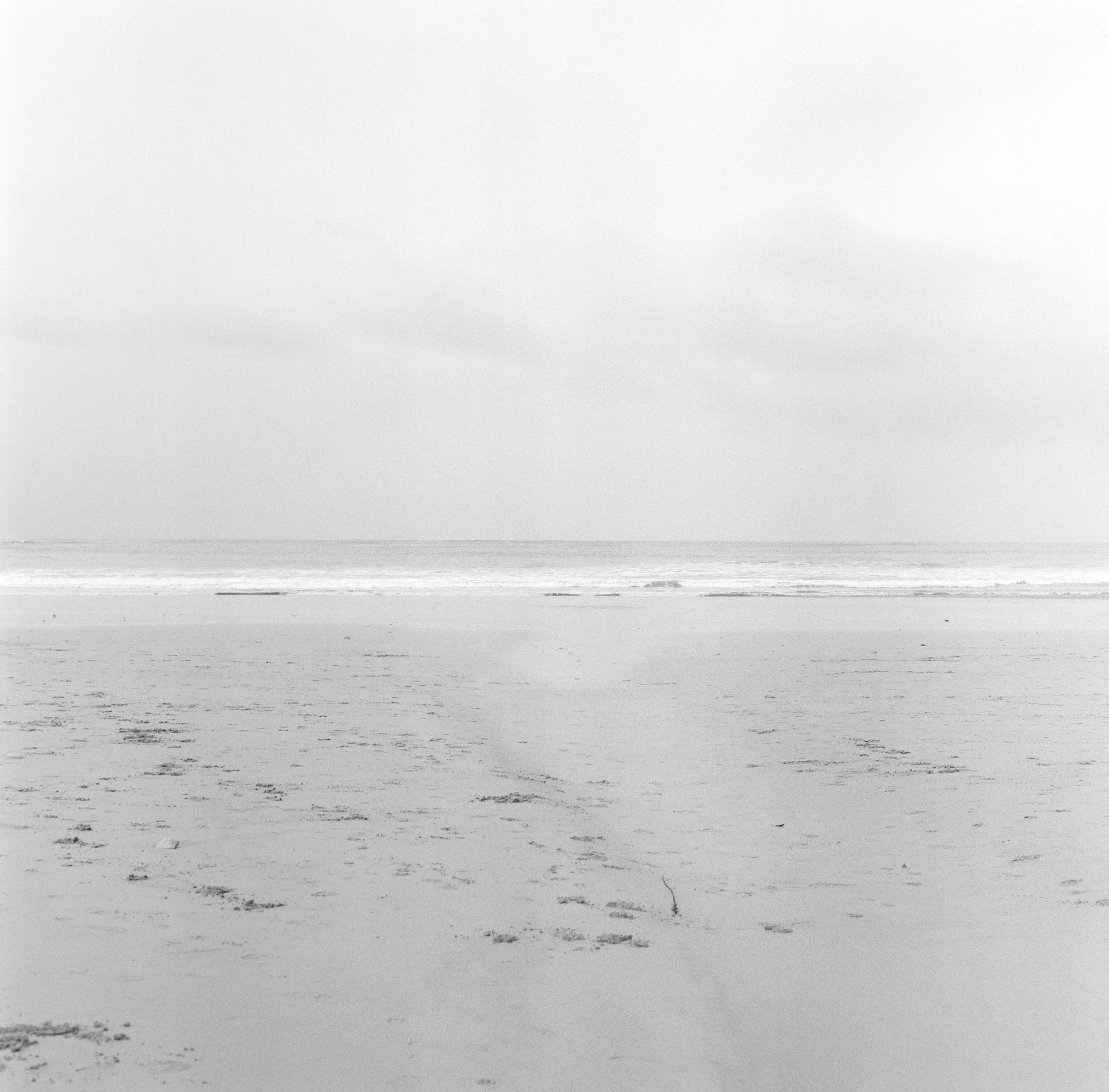 915430390006_WB_HP5.jpeg