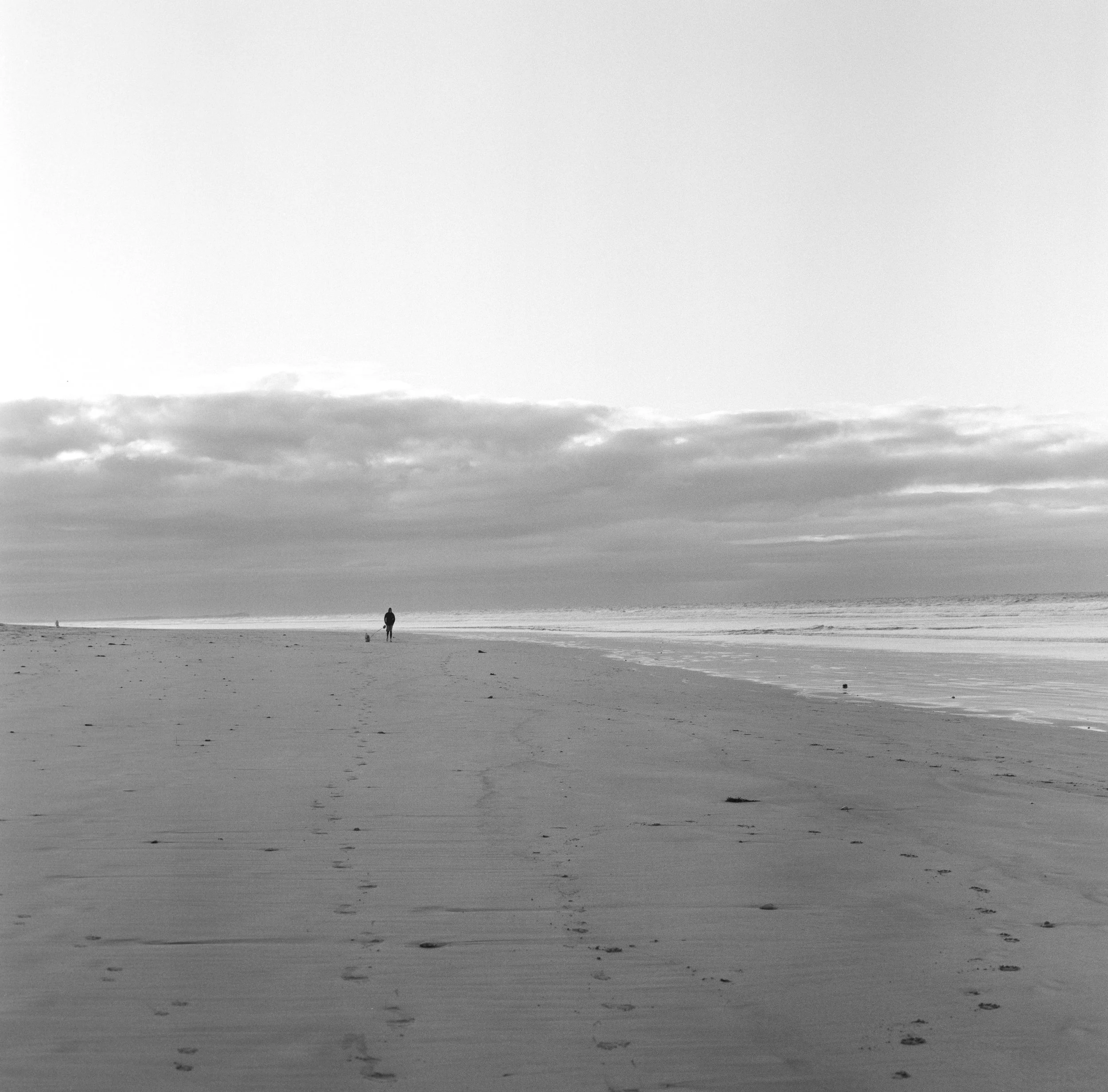 915430380007_WB_HP5.jpeg