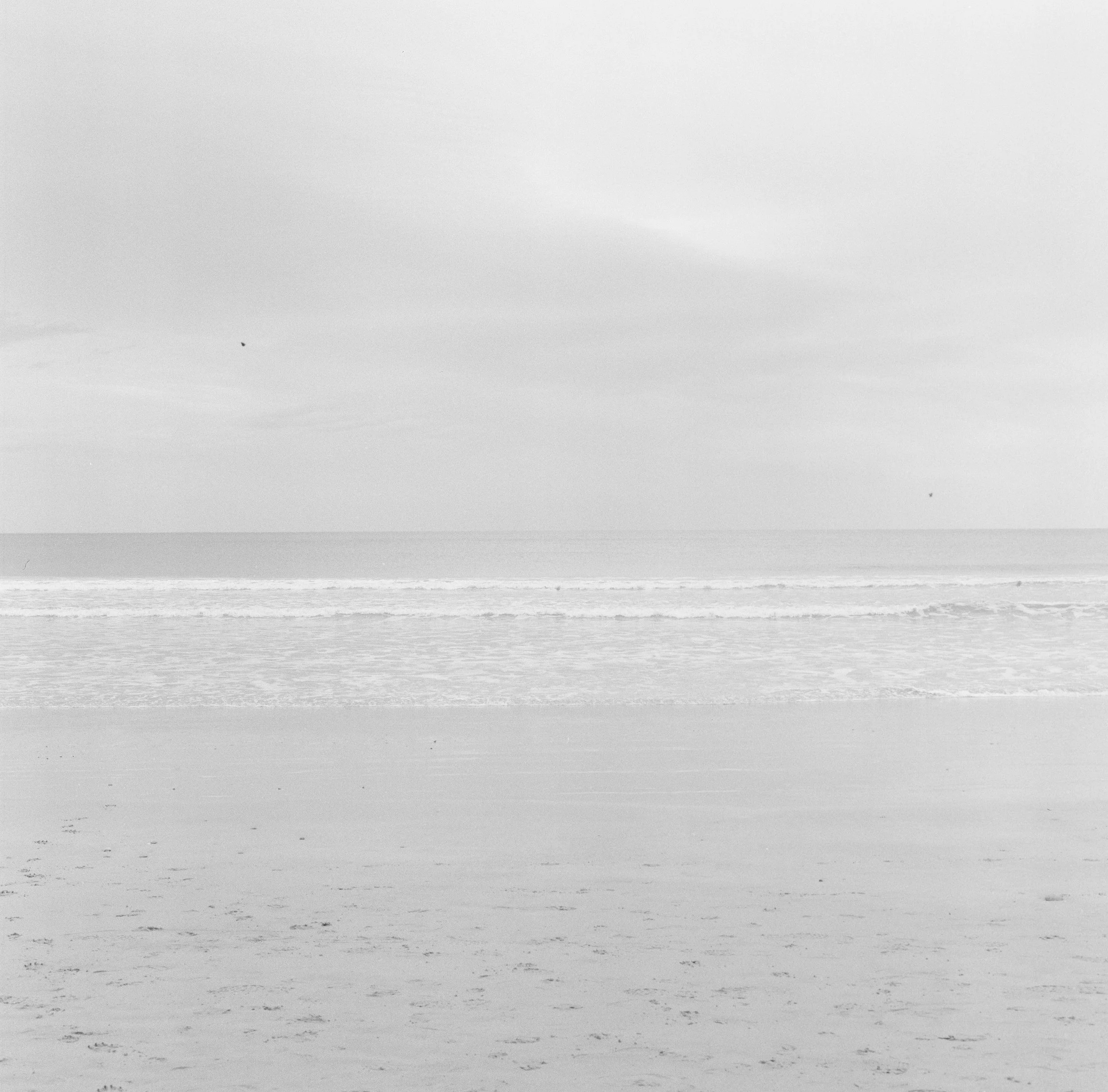 820195880004.jpg
