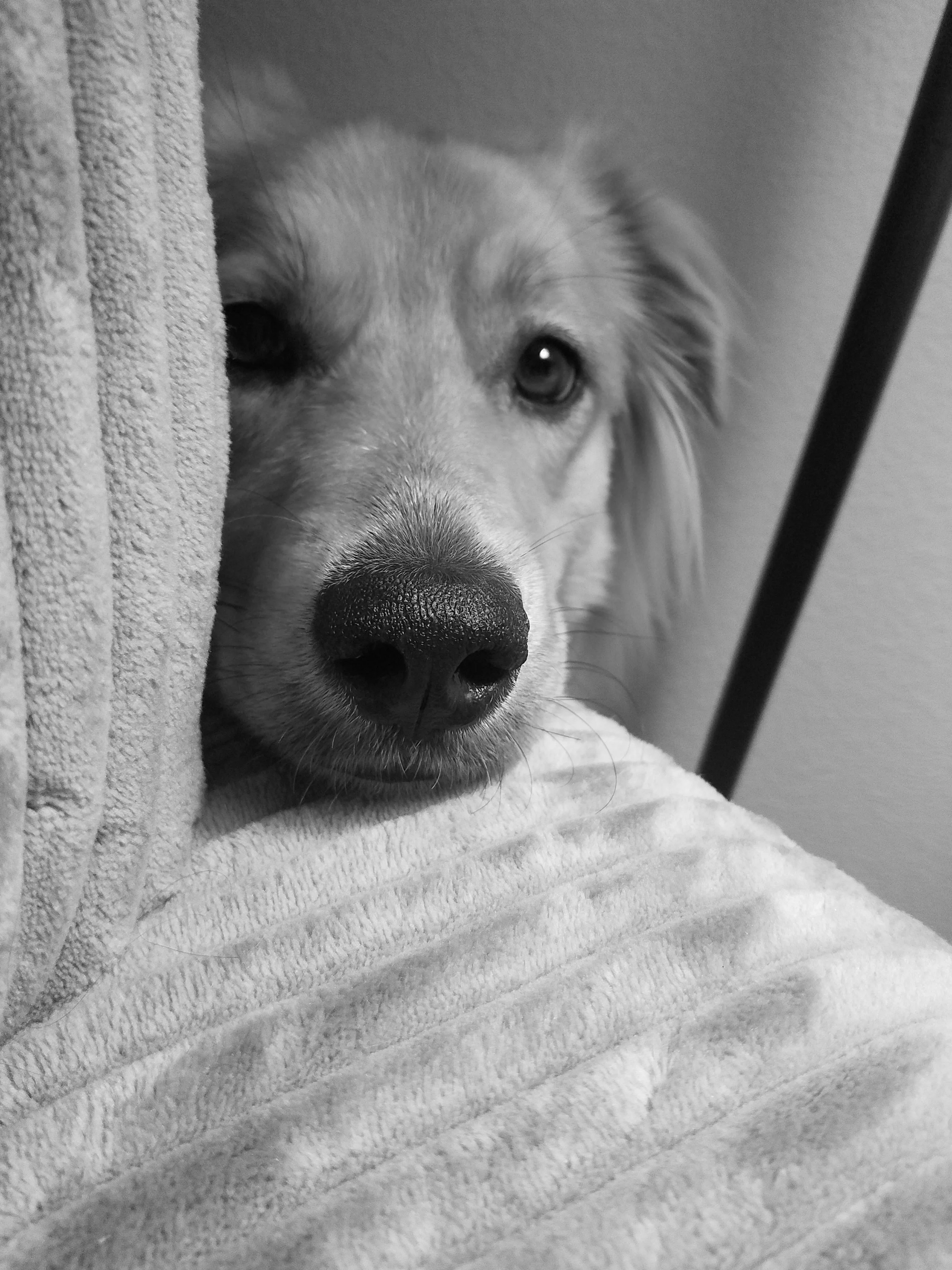 Winnie Ann doing the classic Winnie Ann face. 