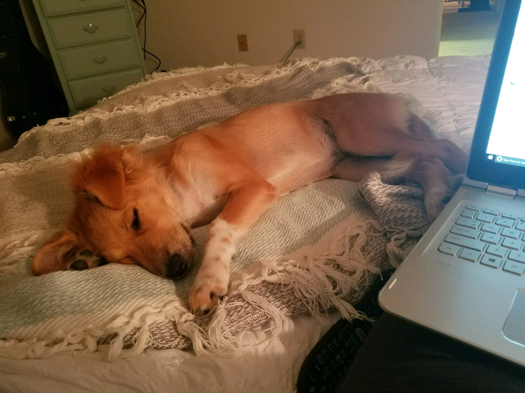 Helping me work.