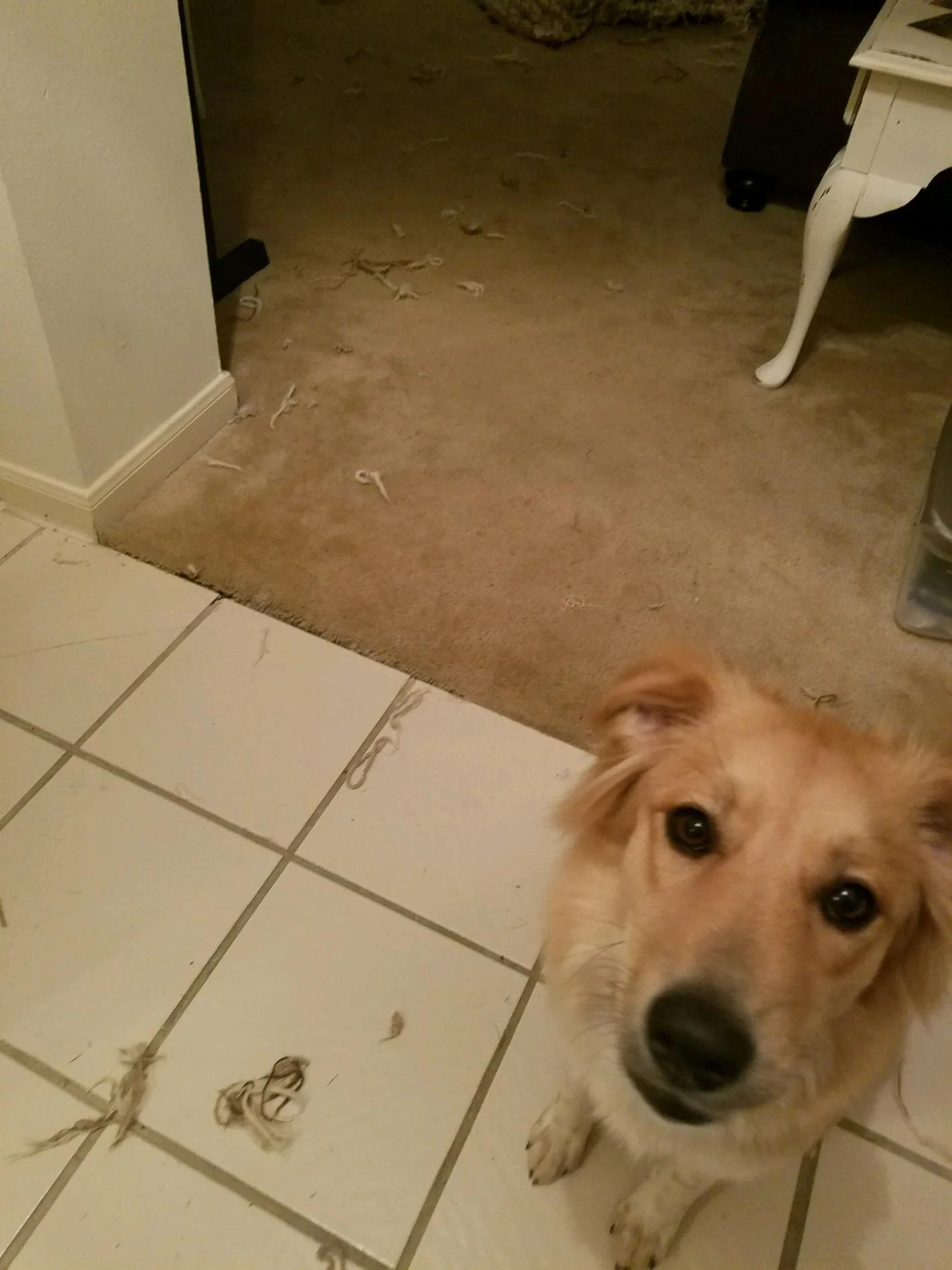 Feeling bad about making a large mess.