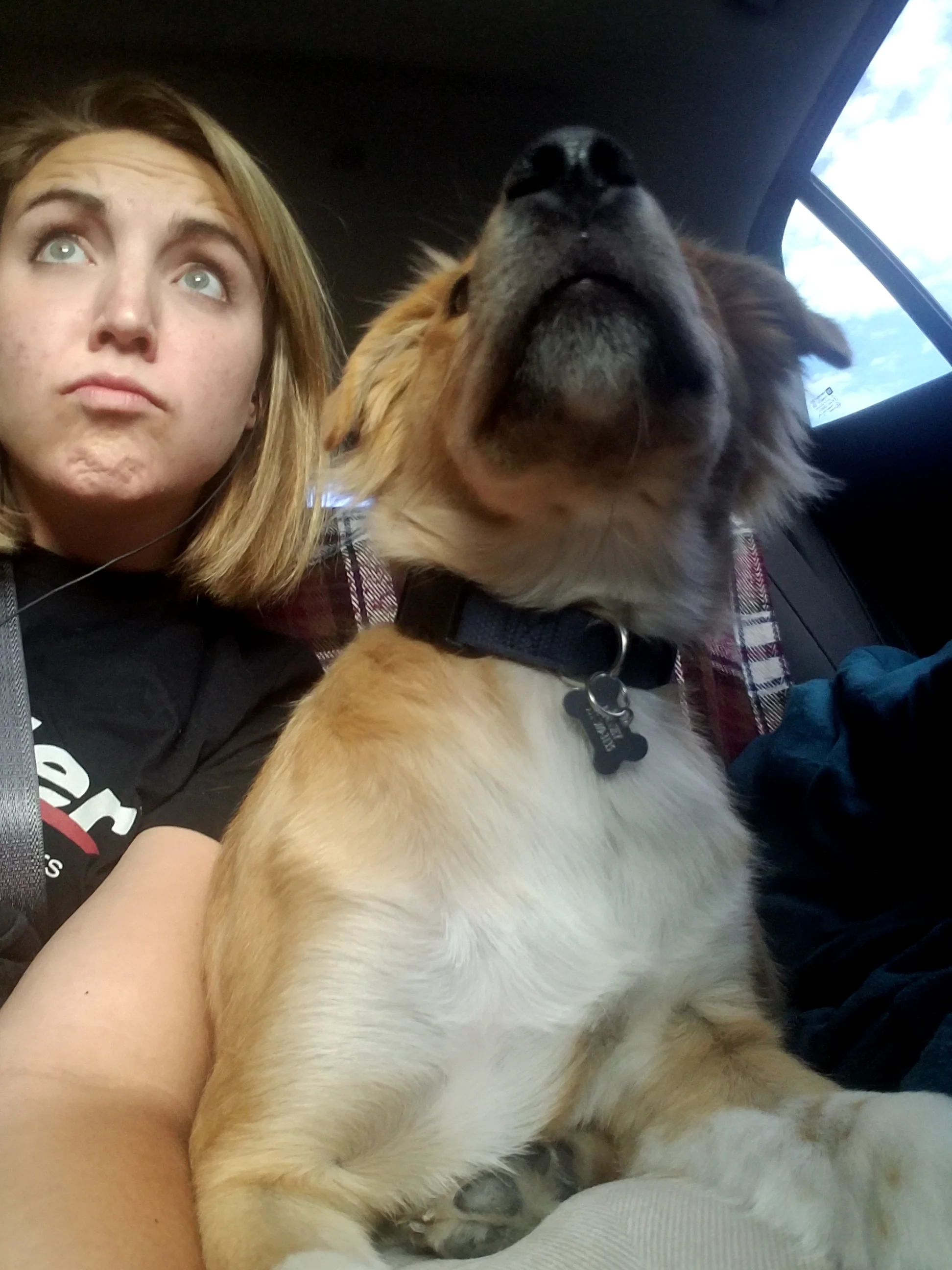 Road tripping