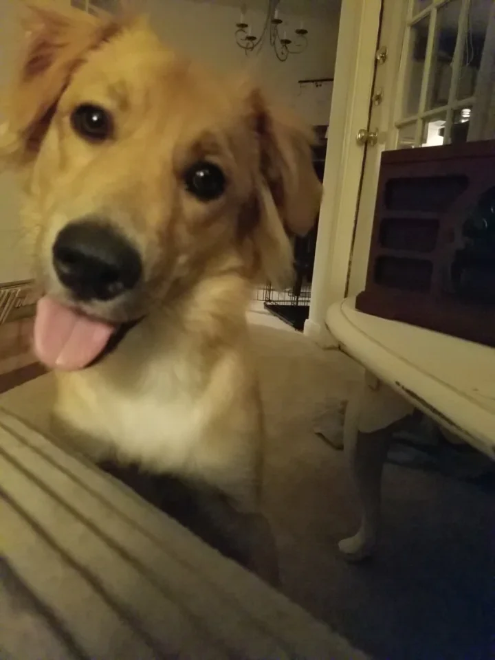 20170830_233838.jpg