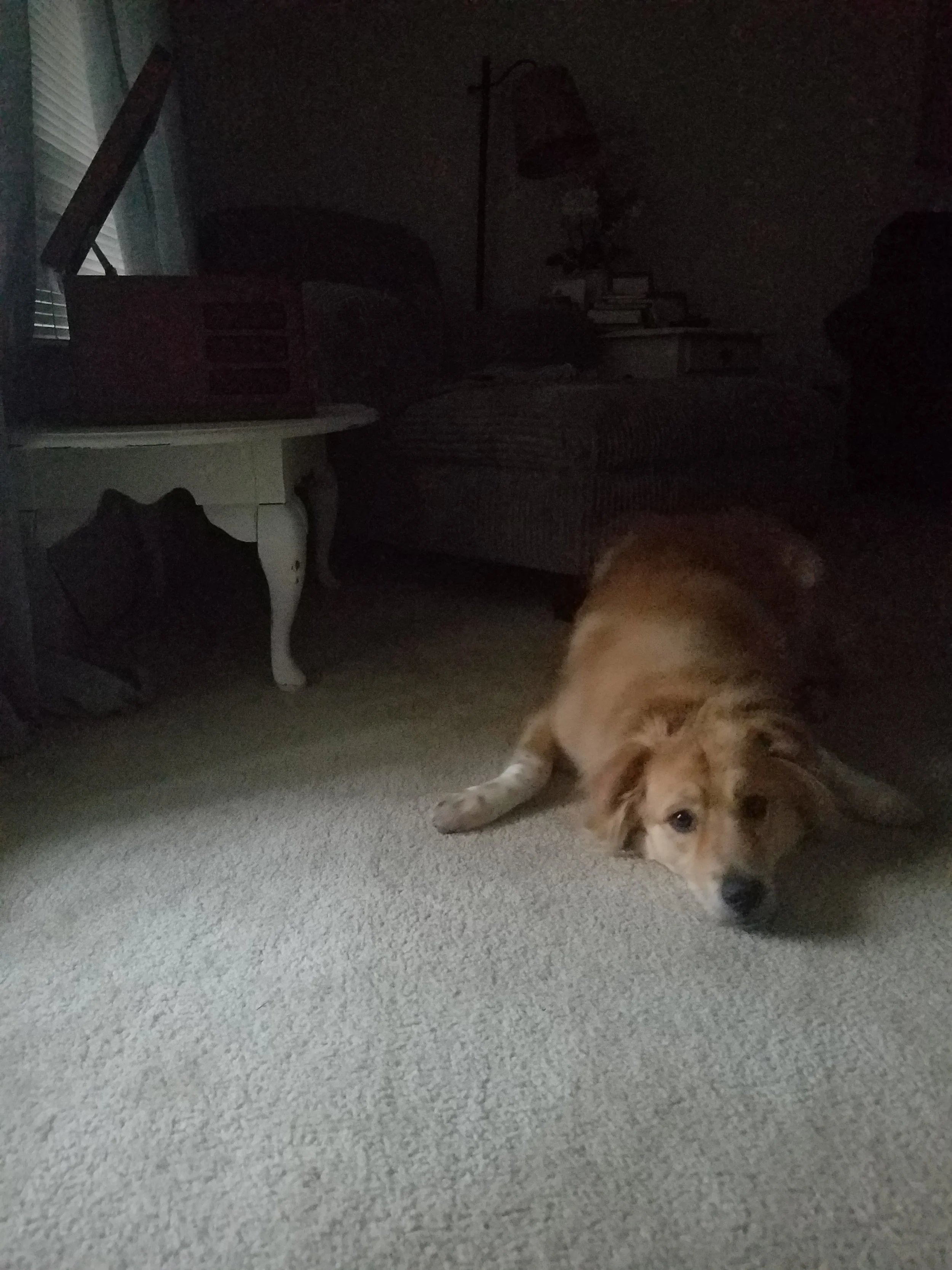 20171221_070236.jpg