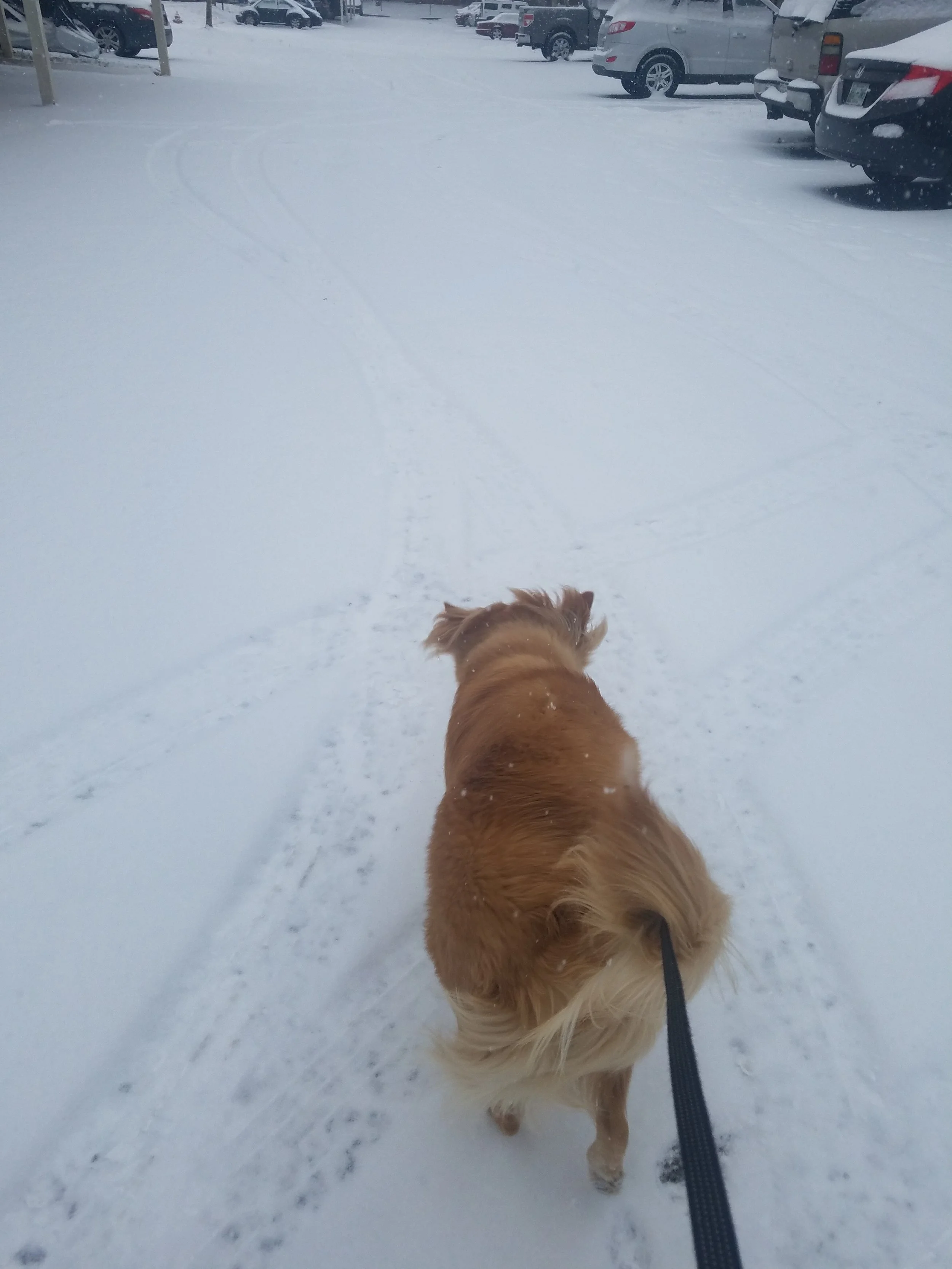 20180116_084121.jpg