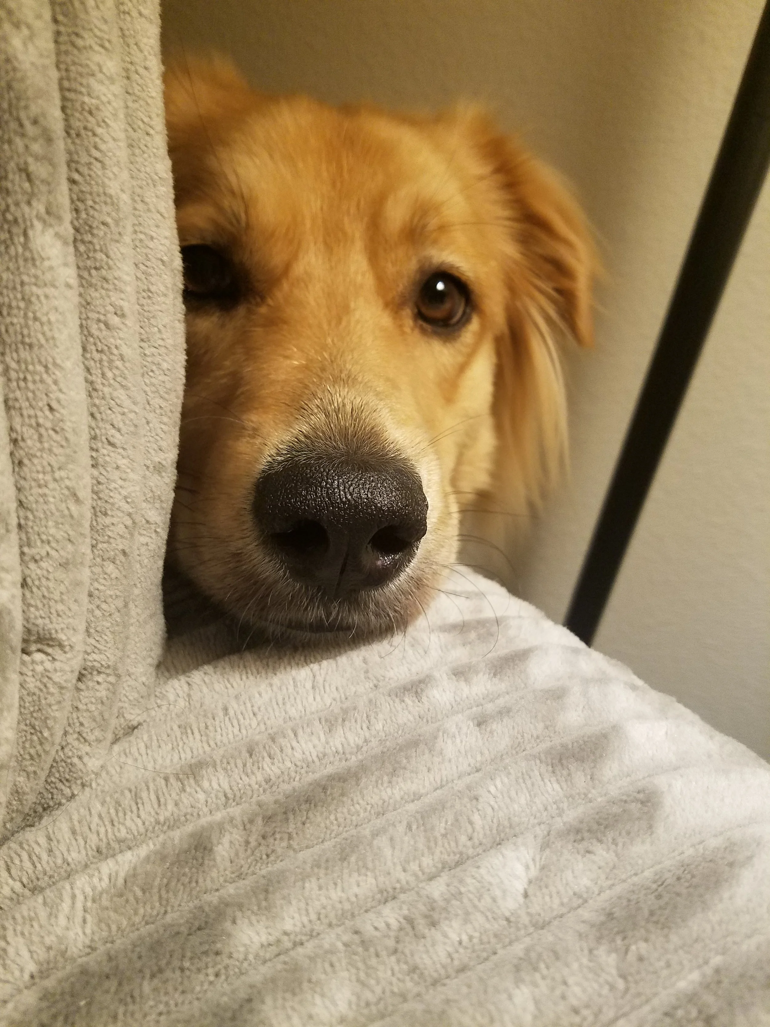 20180124_232727.jpg