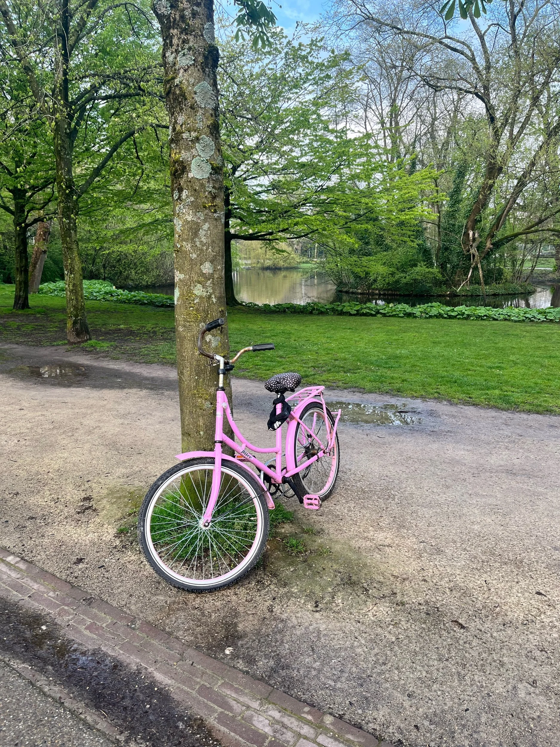 IMG_3636.jpeg