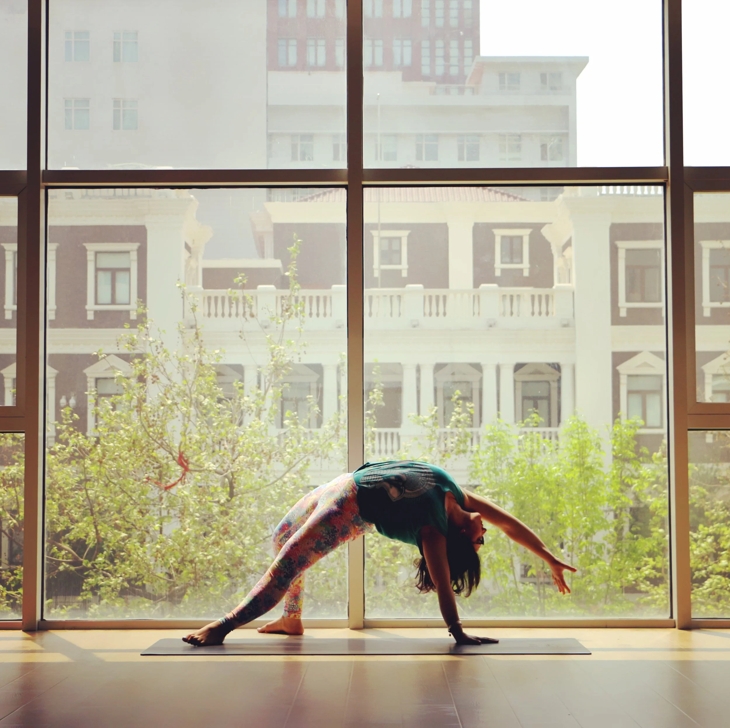 Hatha Yoga 哈他瑜伽 