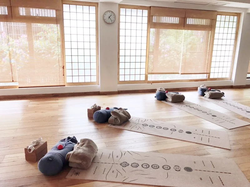 Integrative Yoga Therapy 101 