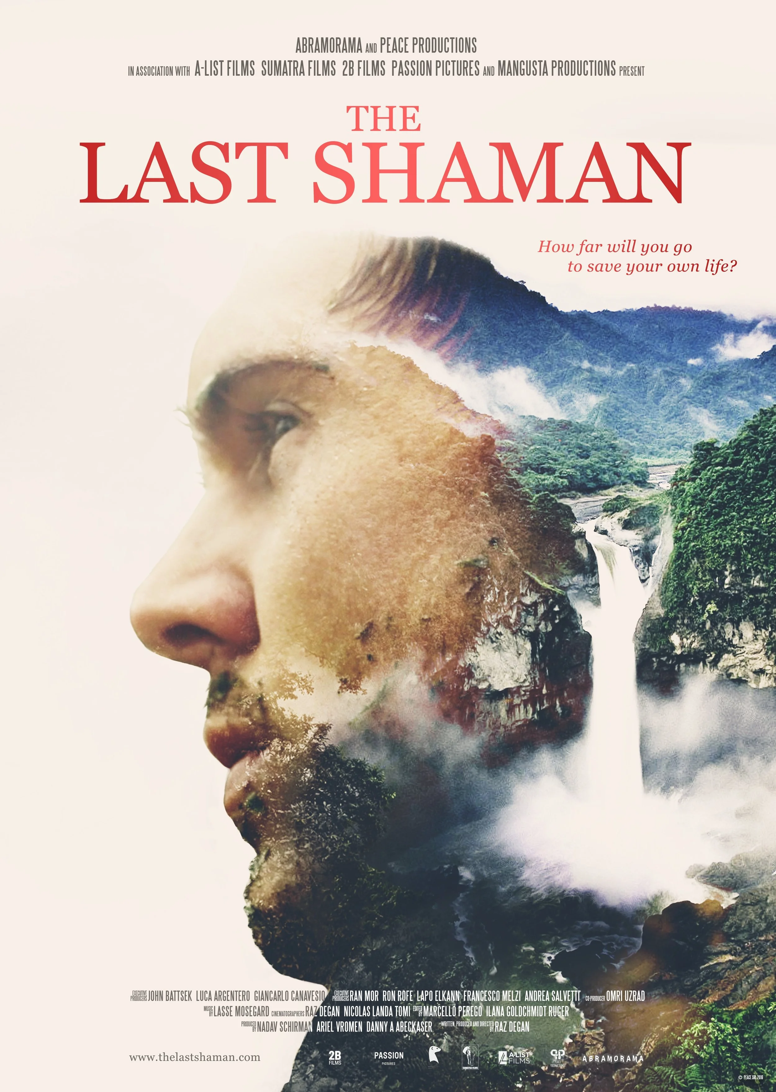 The Last Shaman - poster.jpg
