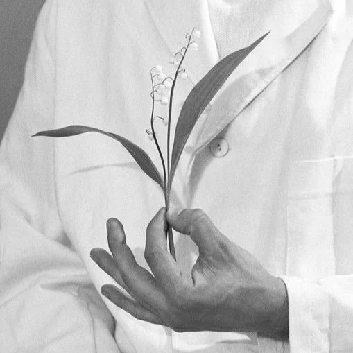 Spring Seasonal Practices 