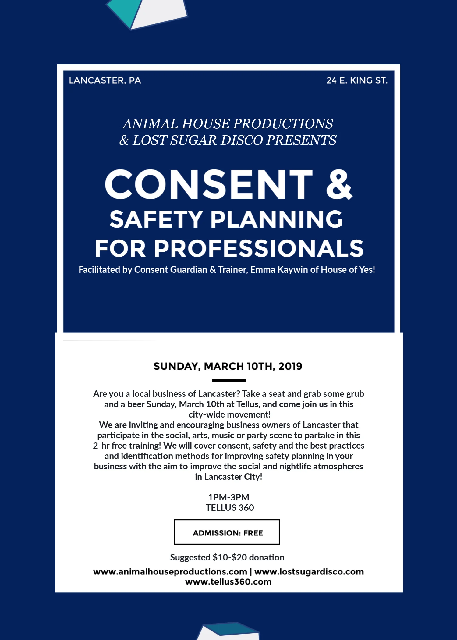 Consent_ProfessionalFlyer.jpg