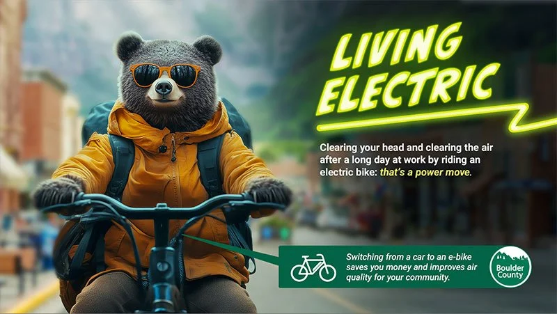 LivingElectric_scenario4.jpg