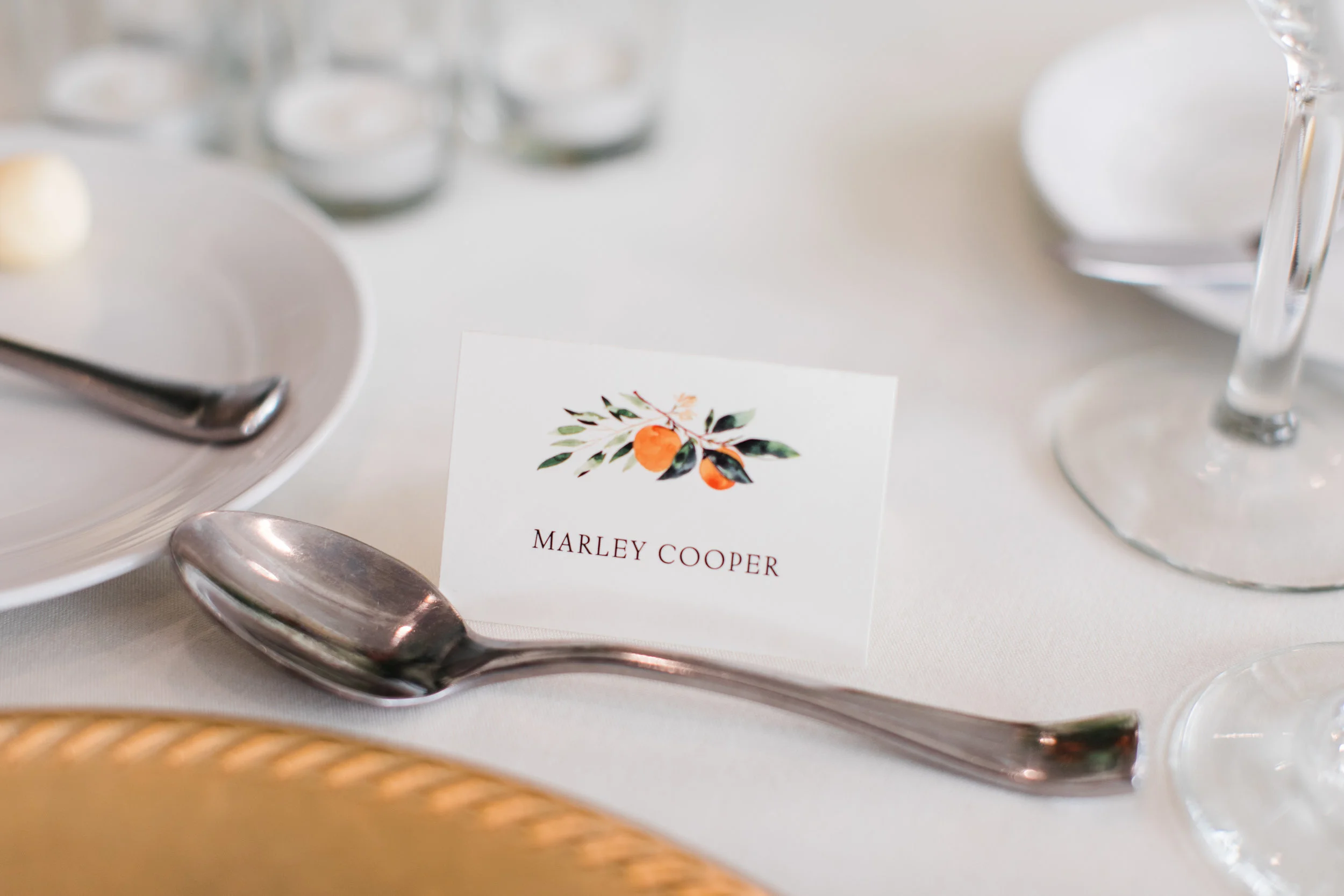 KLIMES WEDDING - MARISSA CRIBBS PHOTOGRAPHY-986.jpg