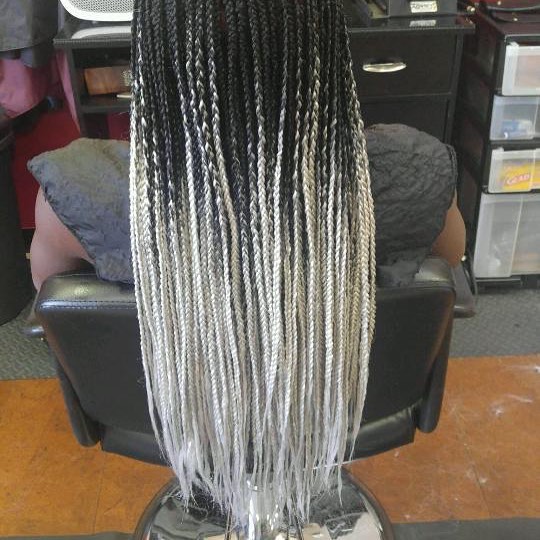 Black/Silver ombr&eacute; Box Braids