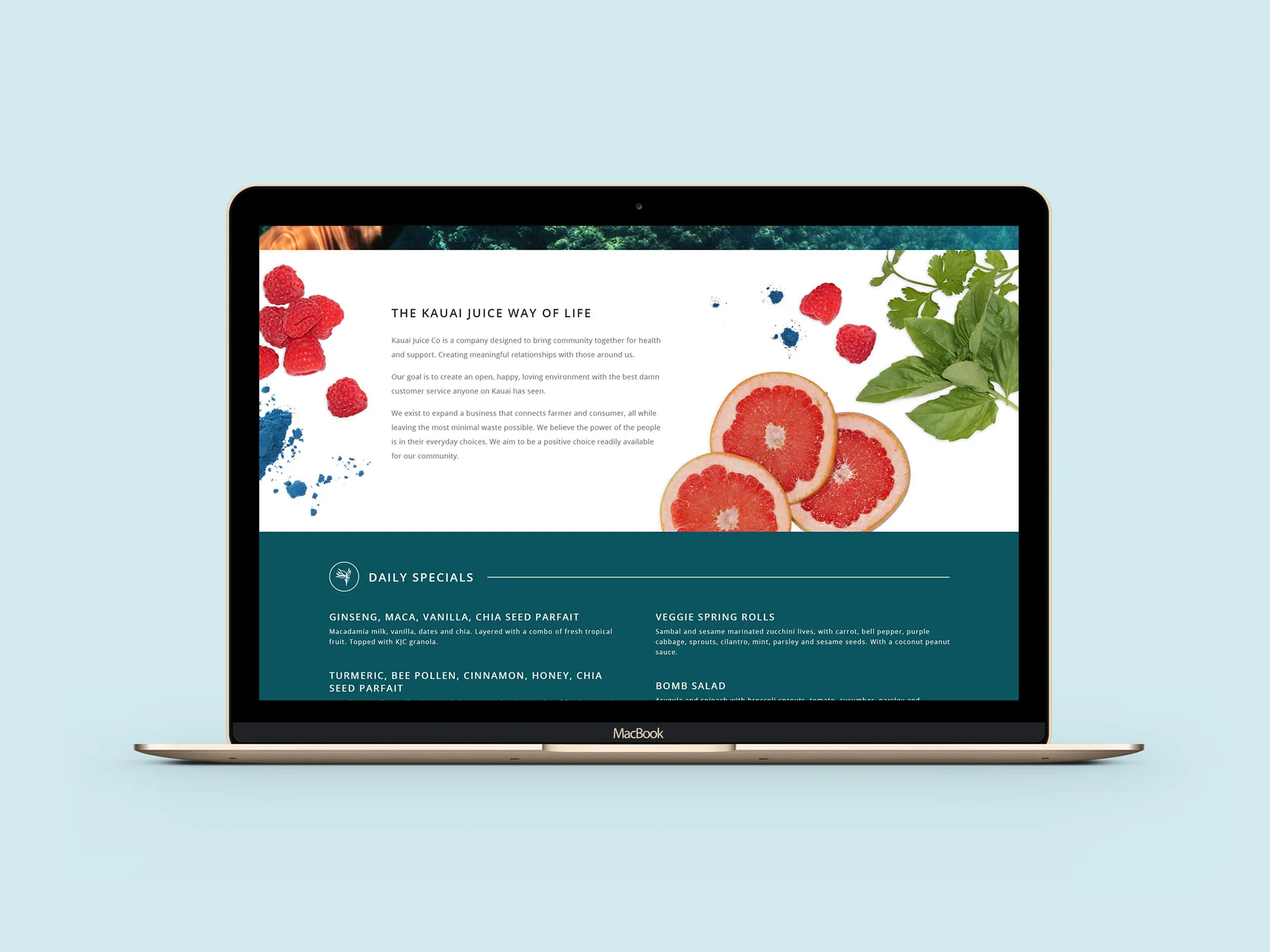 Kauai-Website-2b.jpg