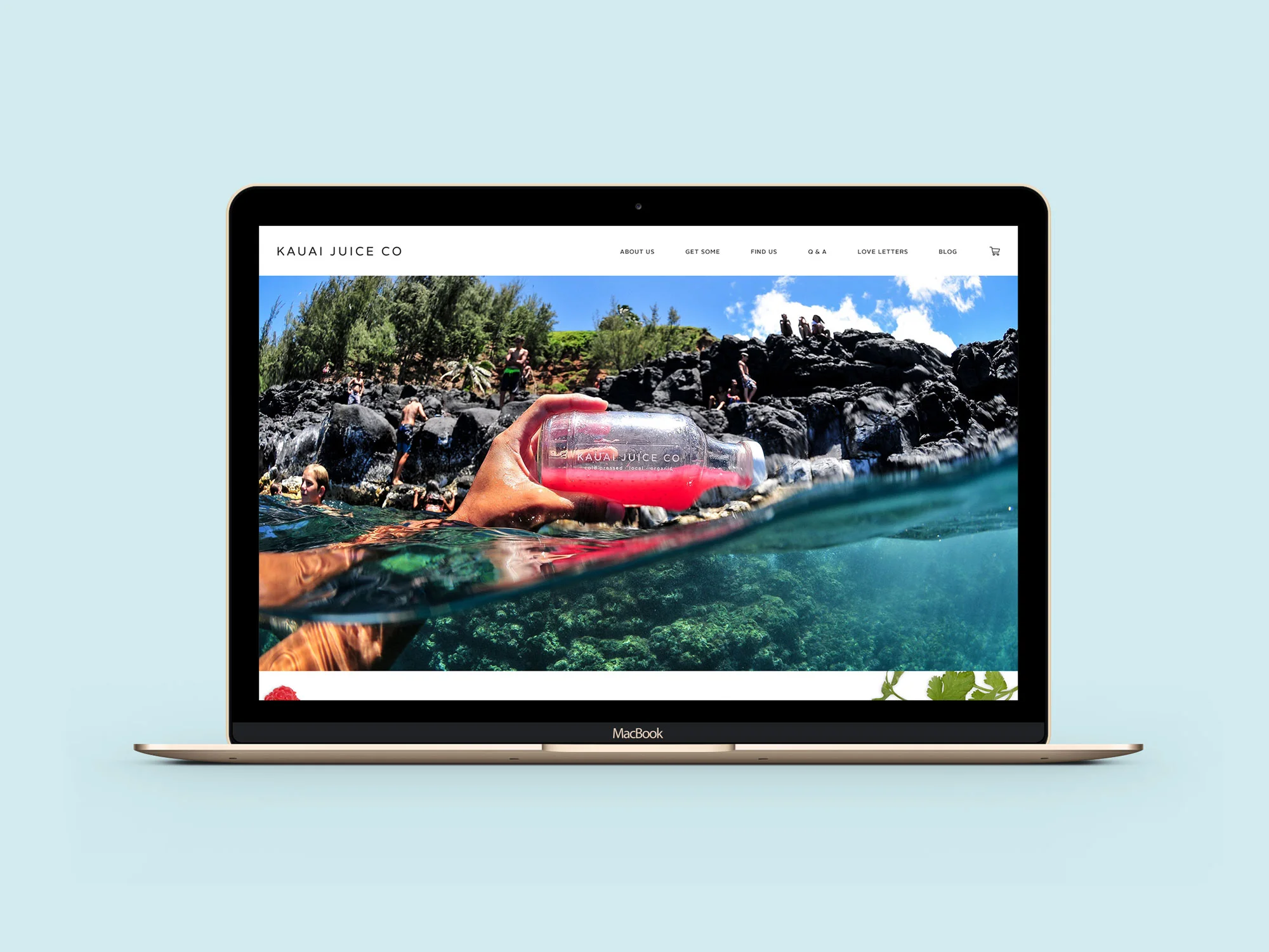 Kauai-Website-1b.jpg