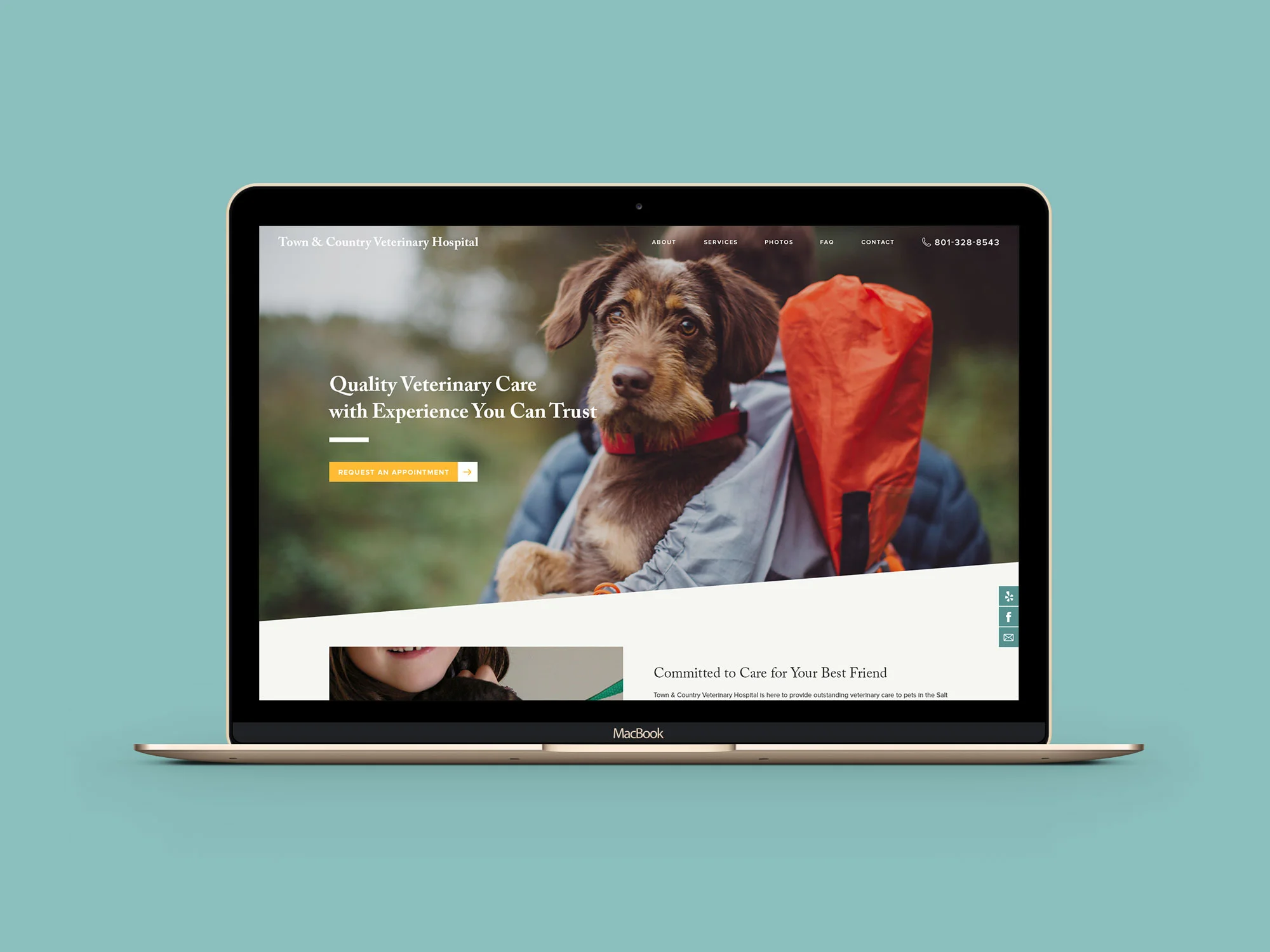 Town-and-Country-Veterinary-Hospital-website-1.jpg