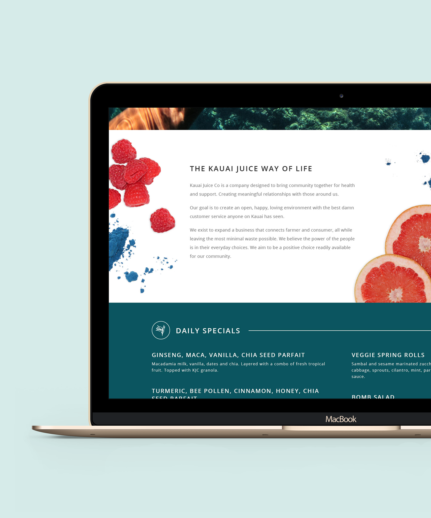 Websites-Home-blue.png