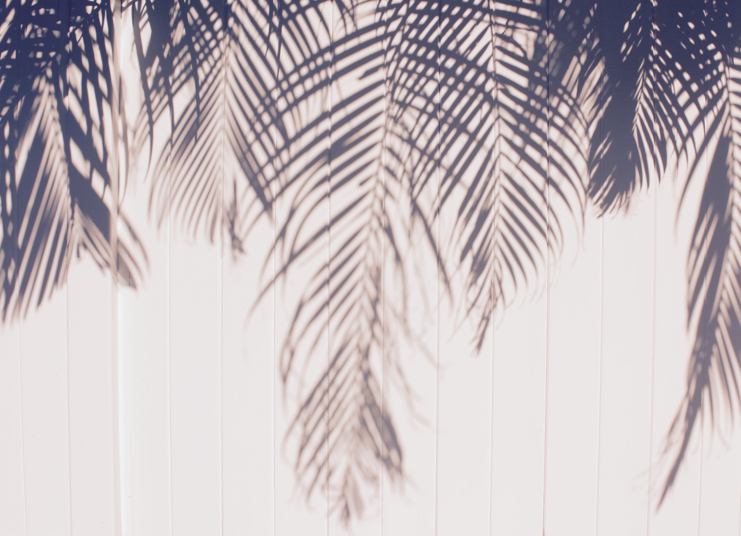 joe-pregadio-v5Avjvc5fhg-unsplash.jpg
