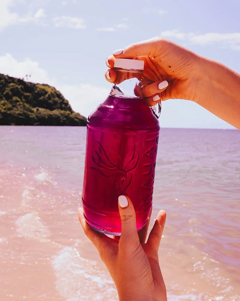 Kombucha w. blue algae.jpg