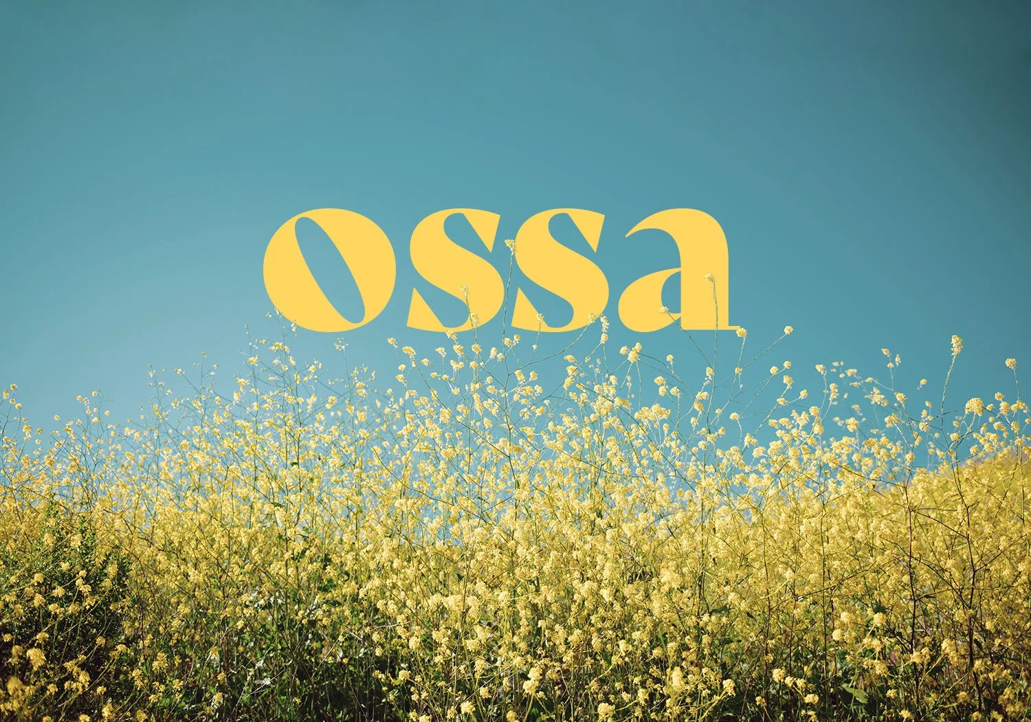 ossa-field-hero.jpg