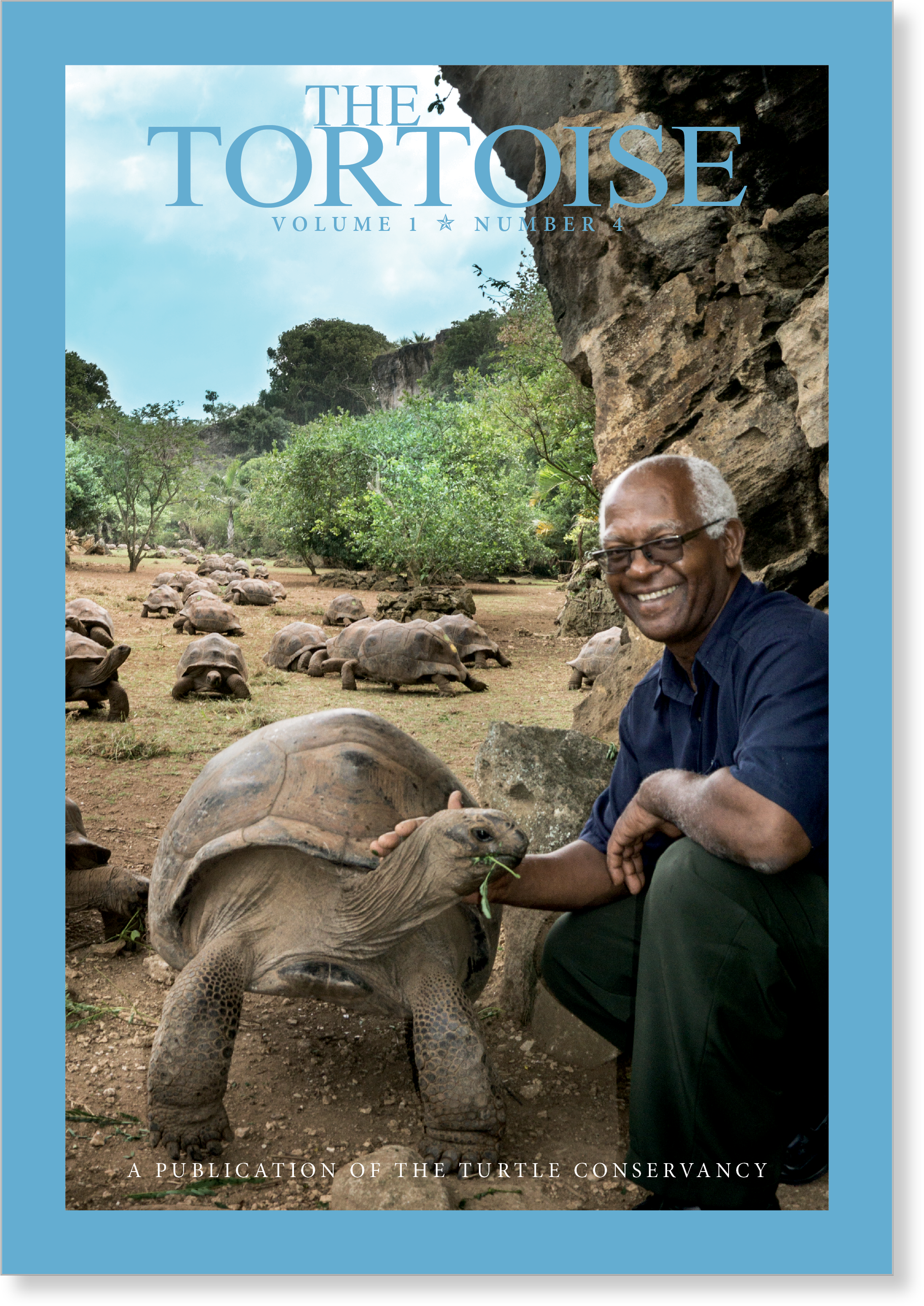 tortoise-dlma-00.png