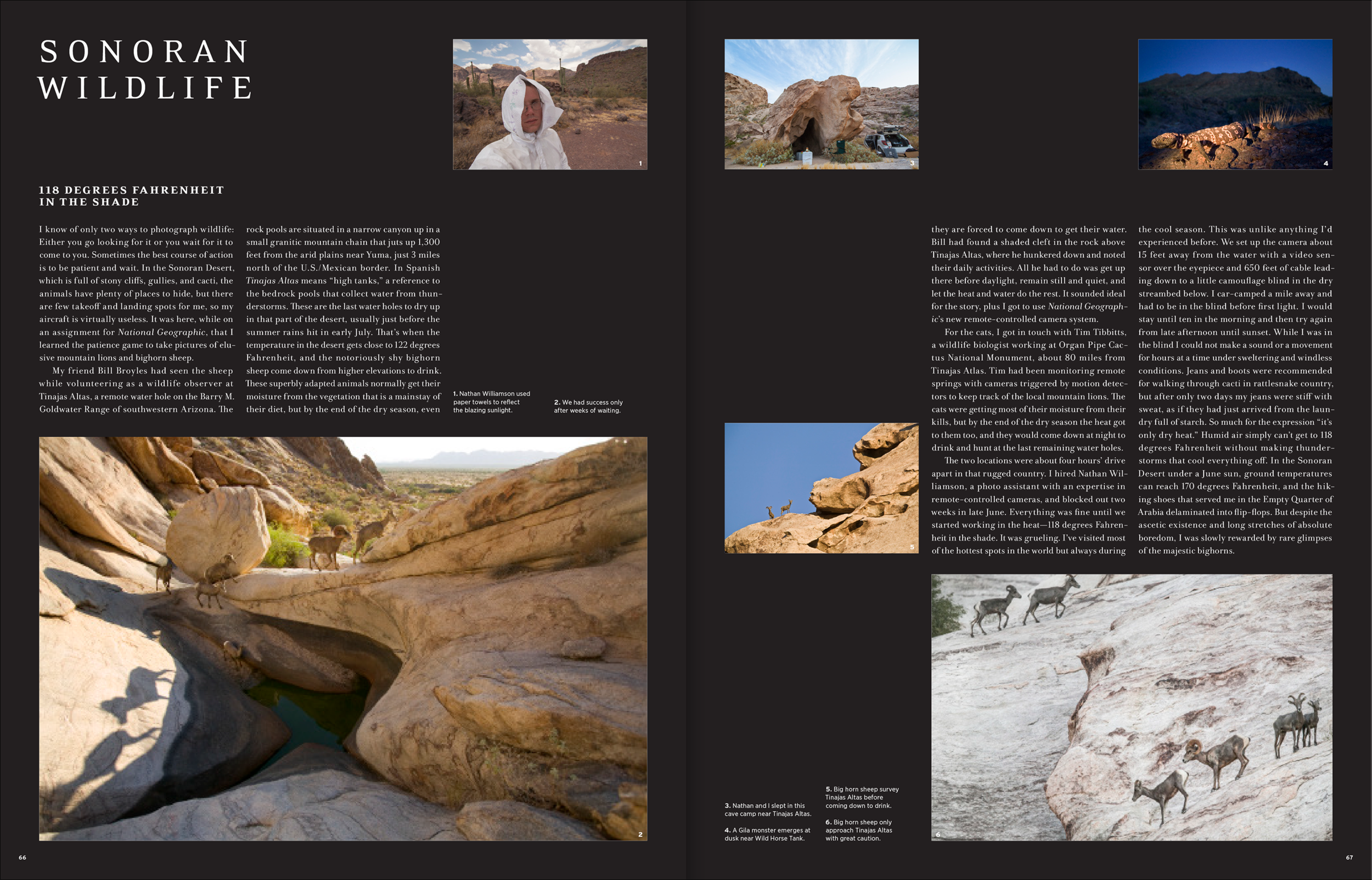 desert-dlma-4.png