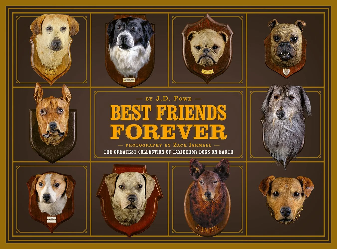 BestFriendsForever50822JF.jpg