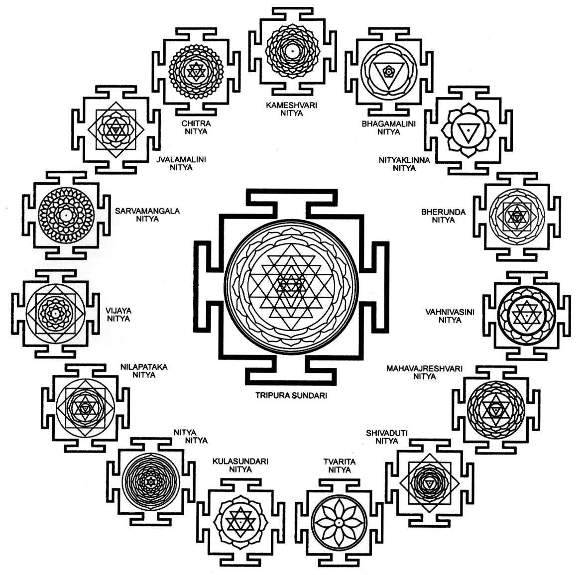 nitya-1§1.jpg